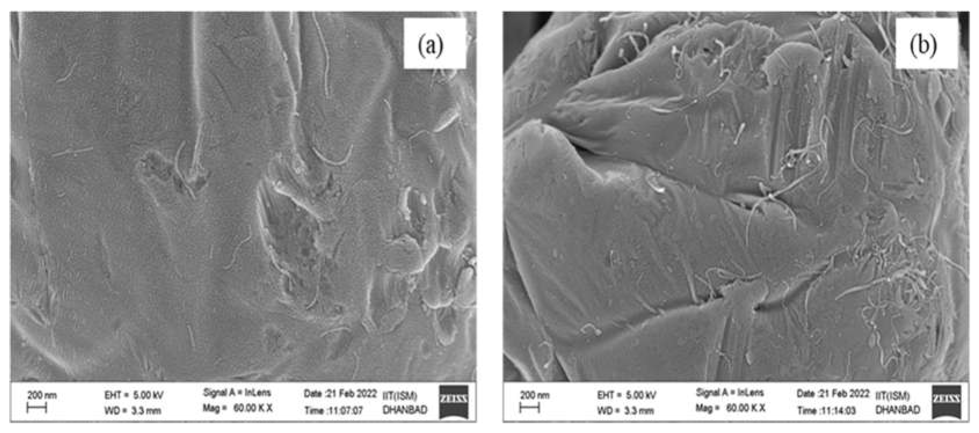 Crystals 13 01352 g004