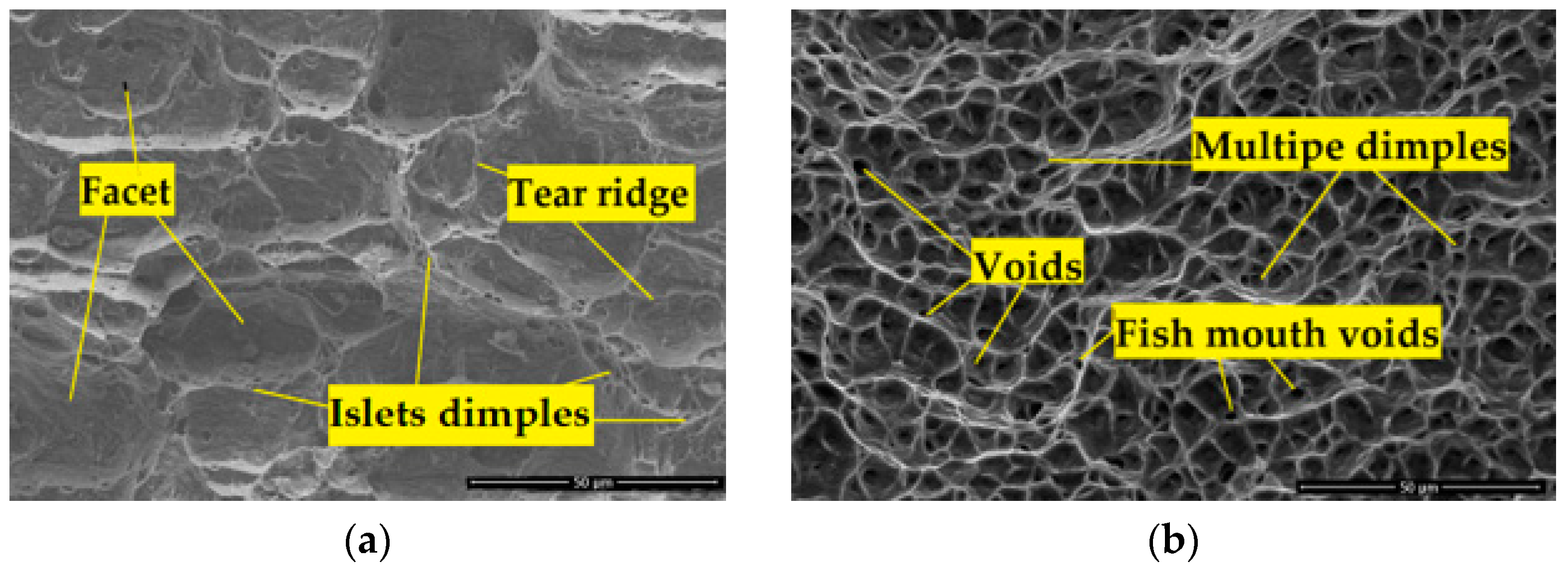 Crystals 13 01377 g013