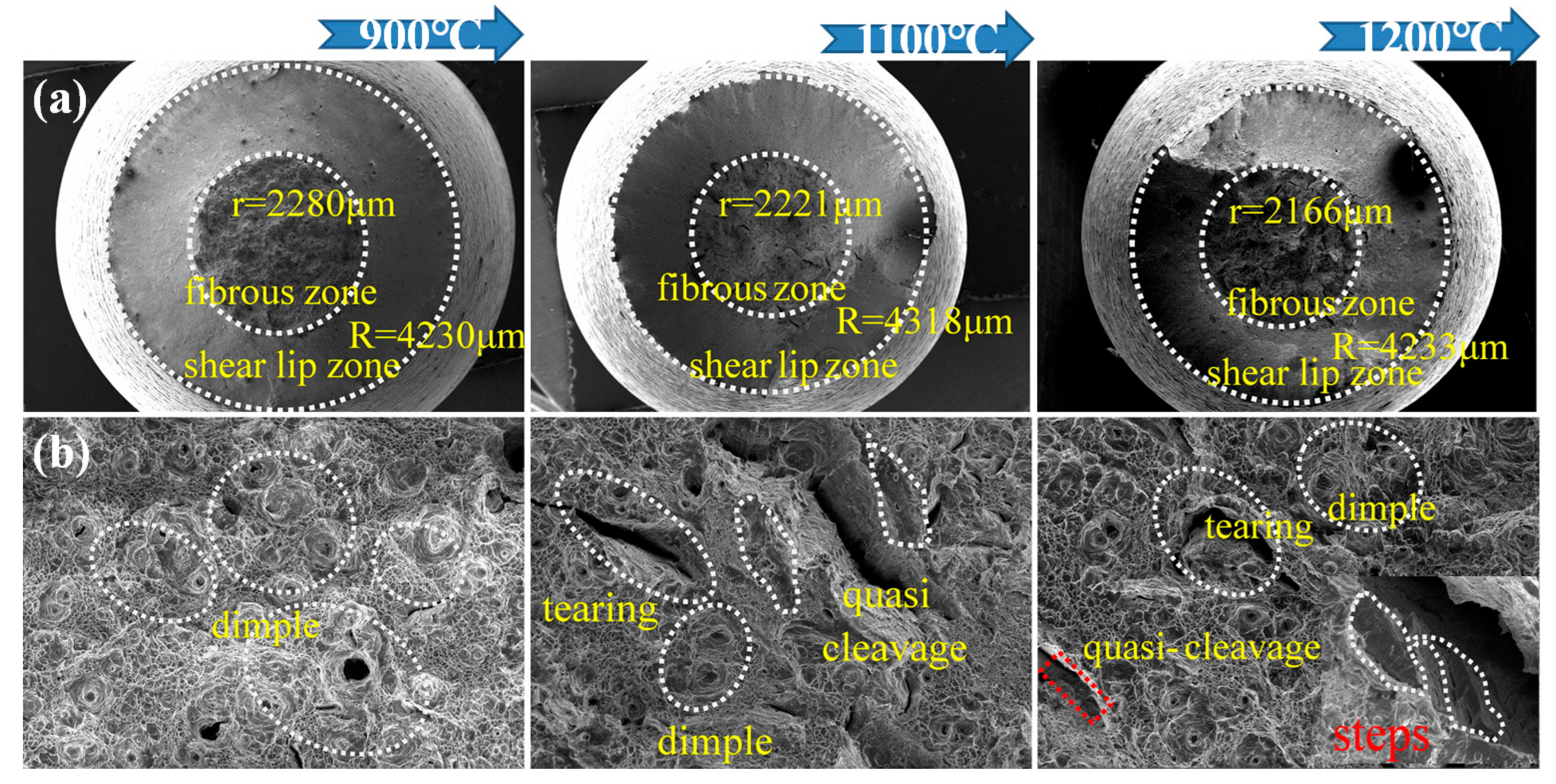 Crystals 13 01392 g008