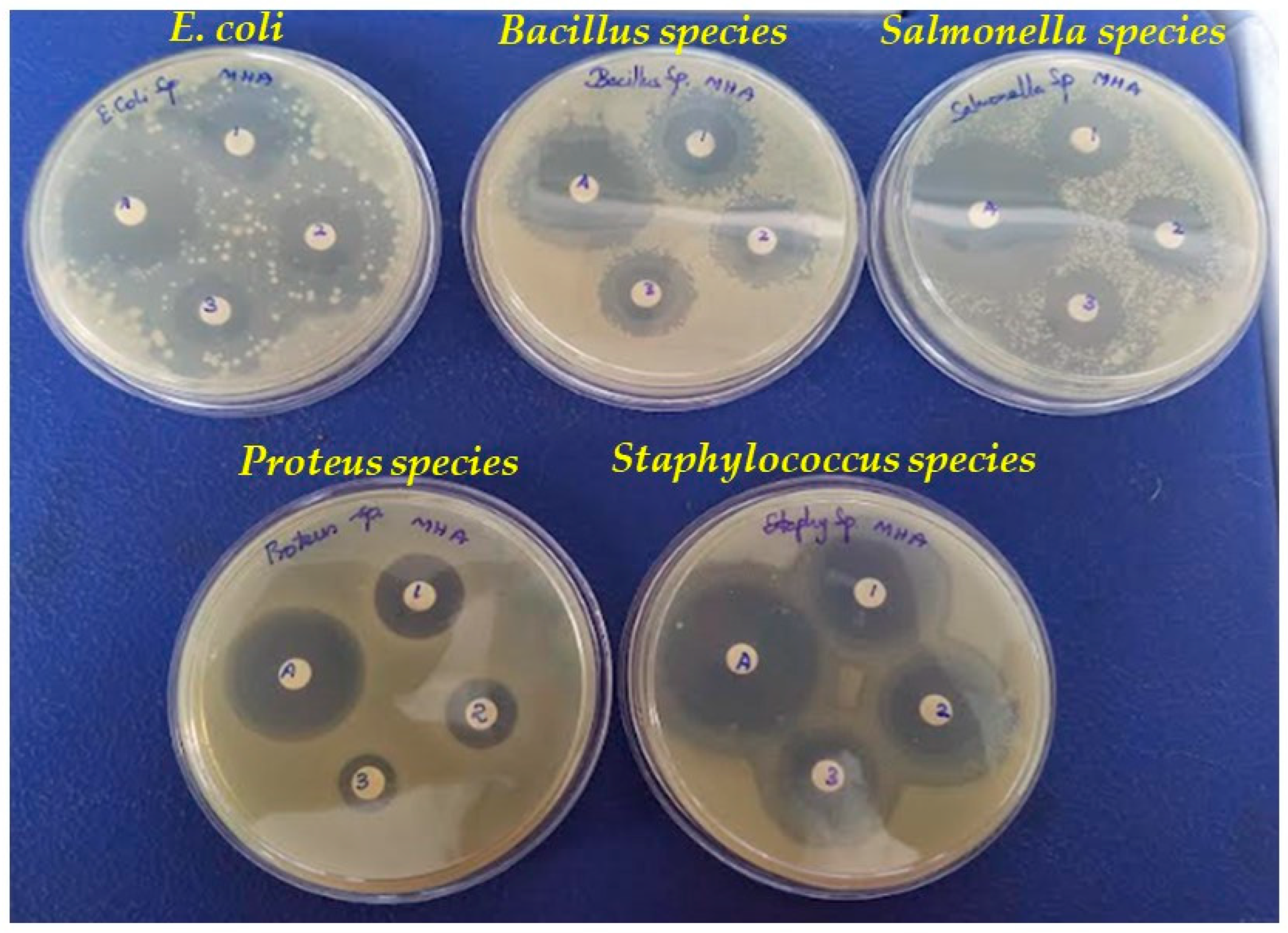 Crystals 13 01393 g006