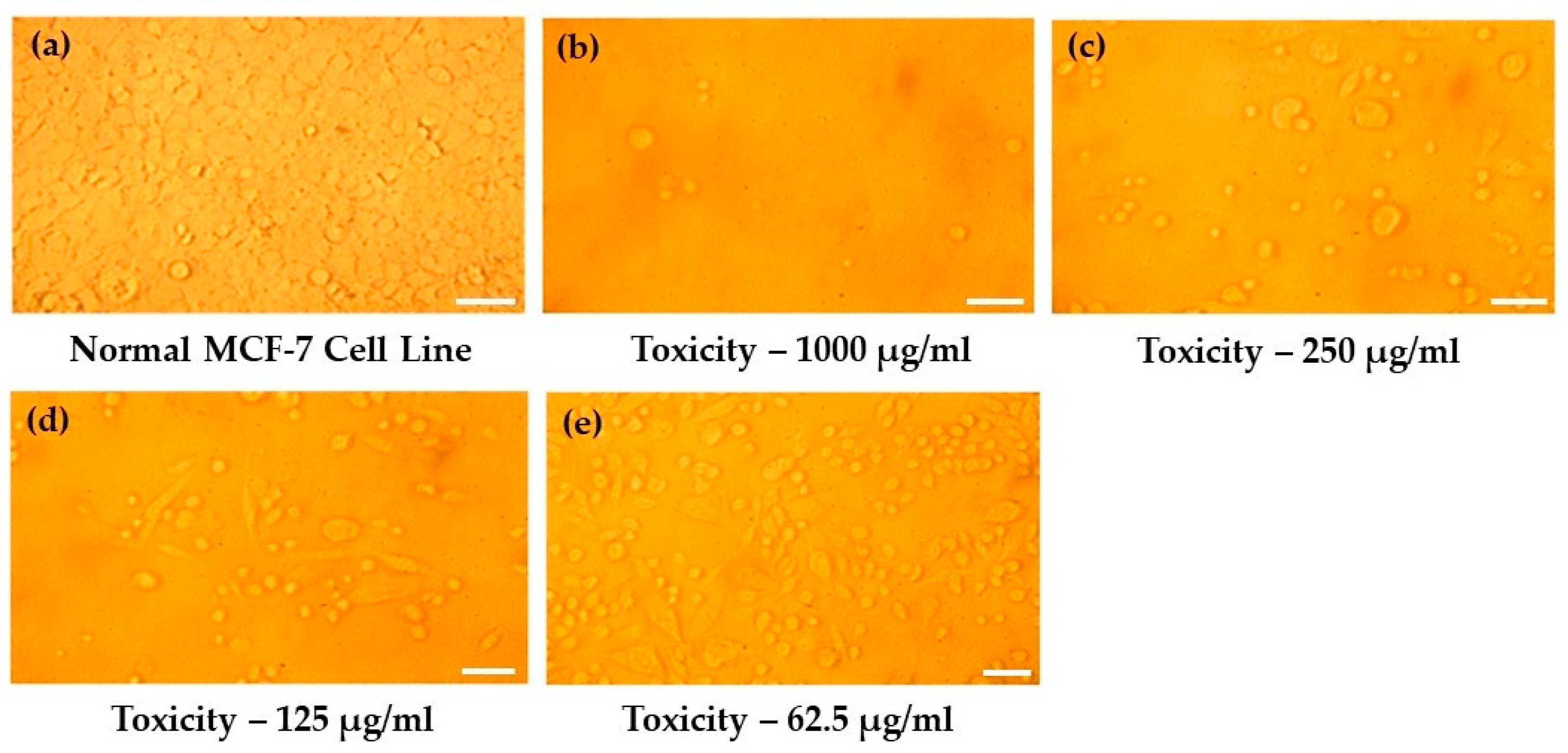 Crystals 13 01393 g009