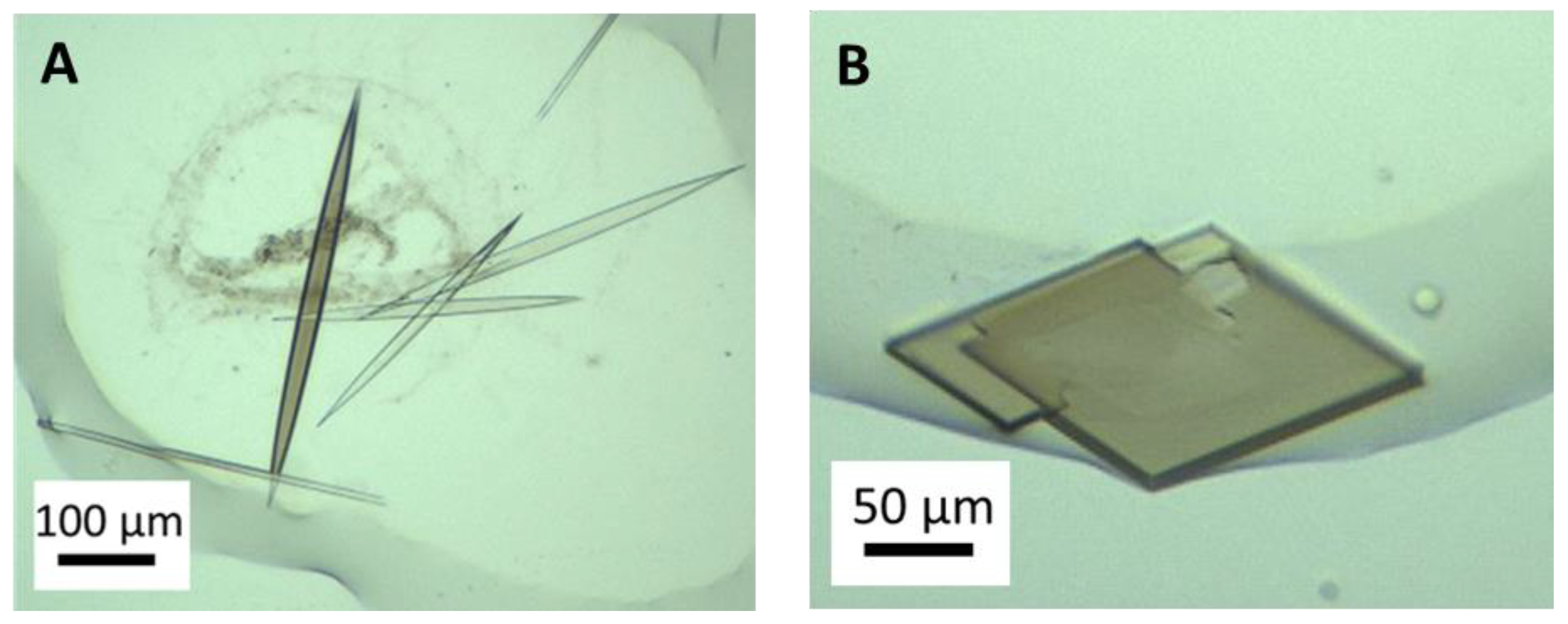 Crystals 13 01402 g004