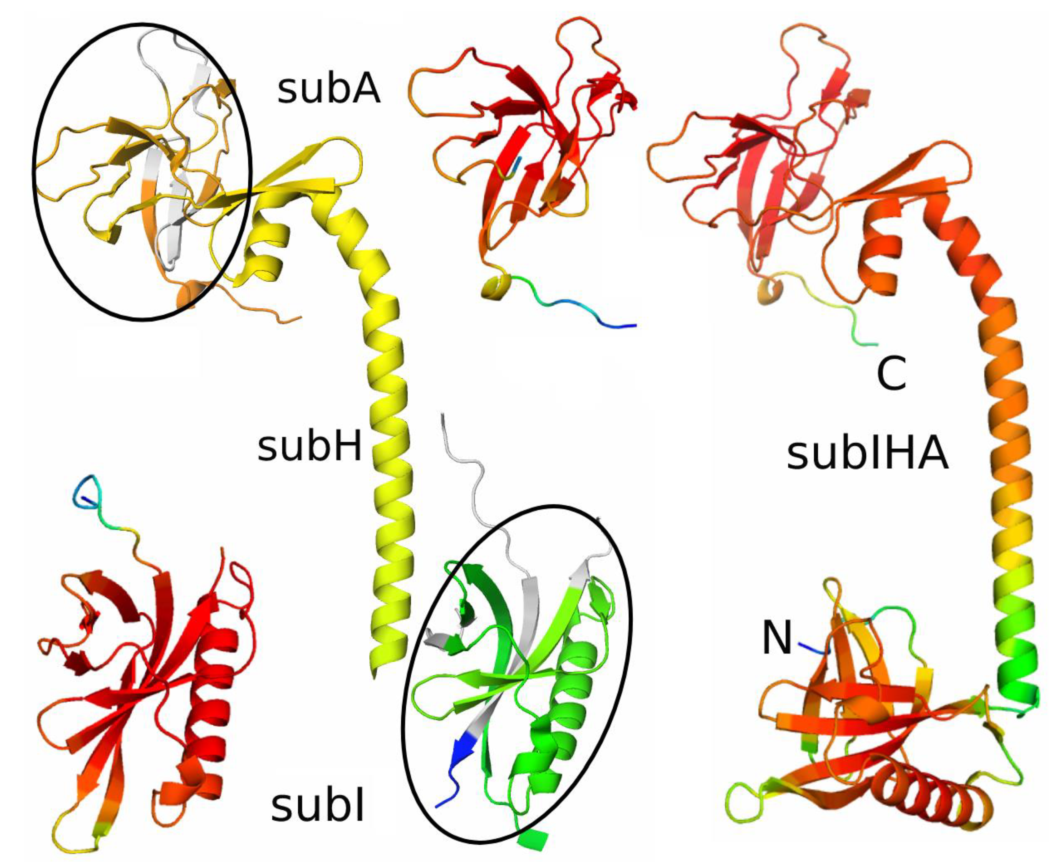 Crystals 13 01416 g005