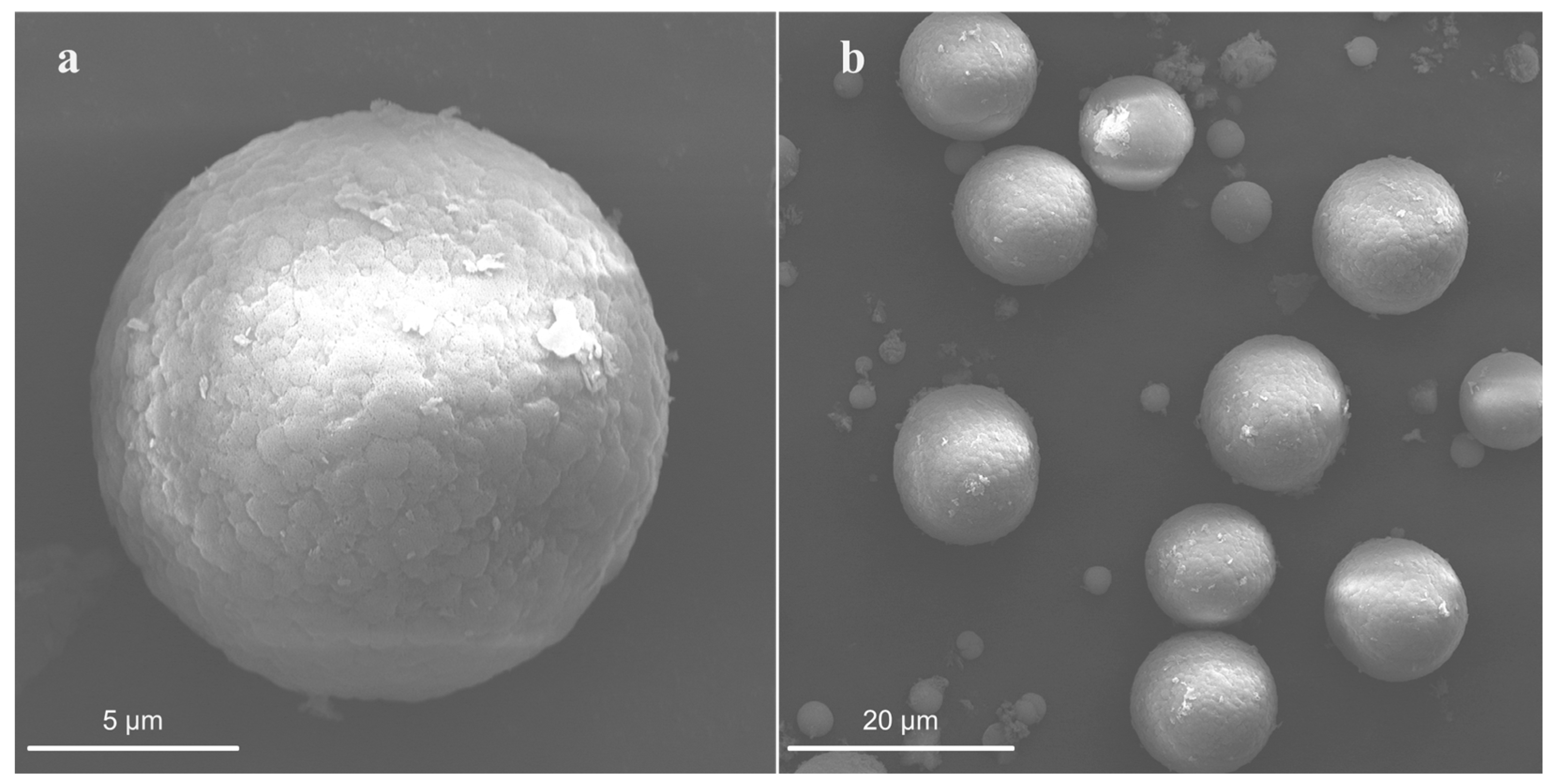 Crystals 13 01432 g010