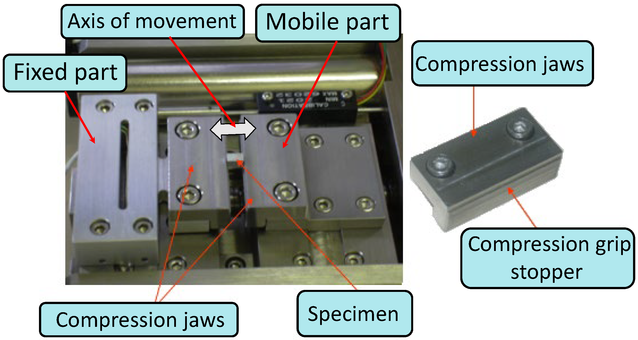 Crystals 13 01463 g002