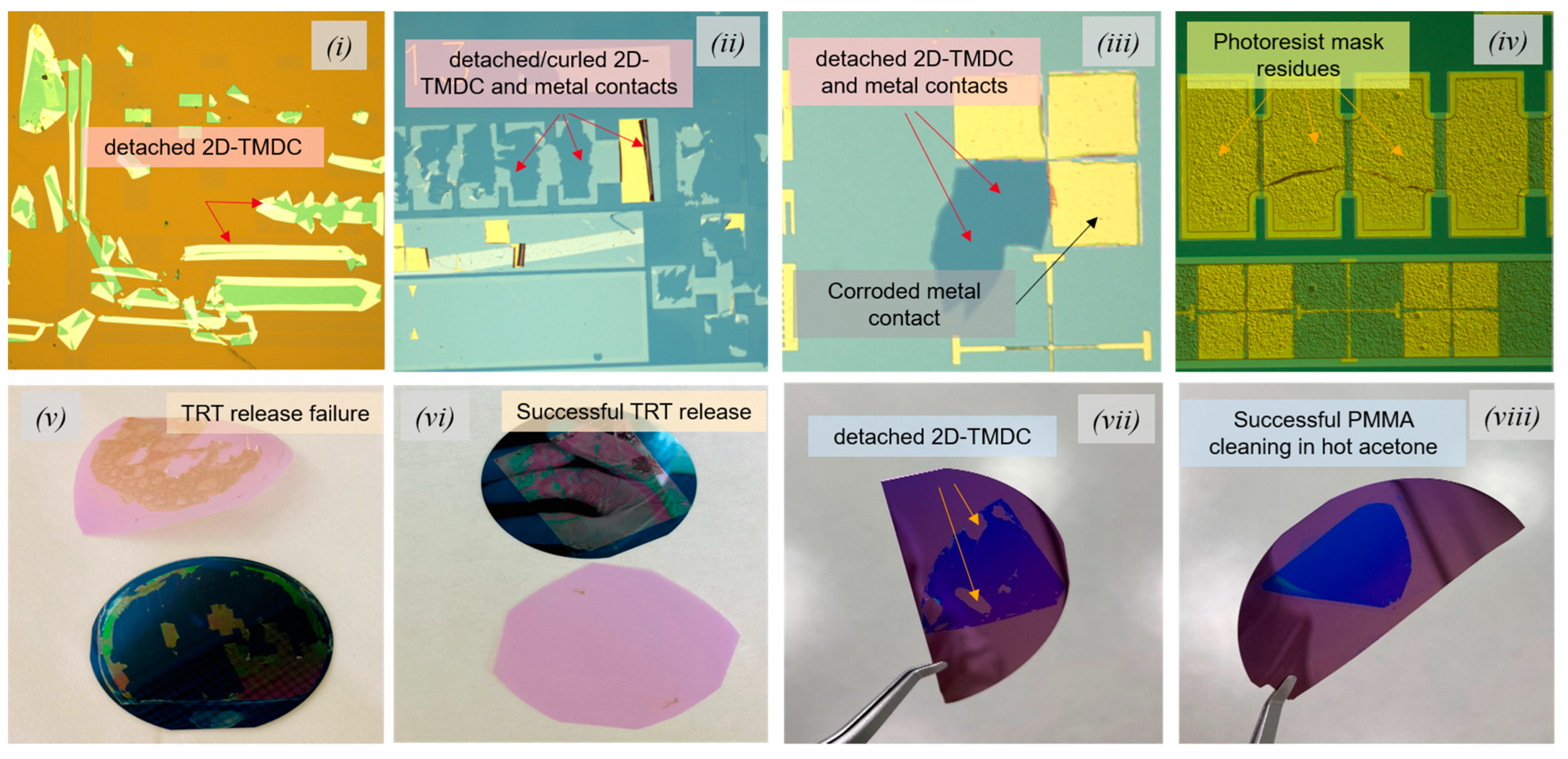 Crystals 13 01474 g004
