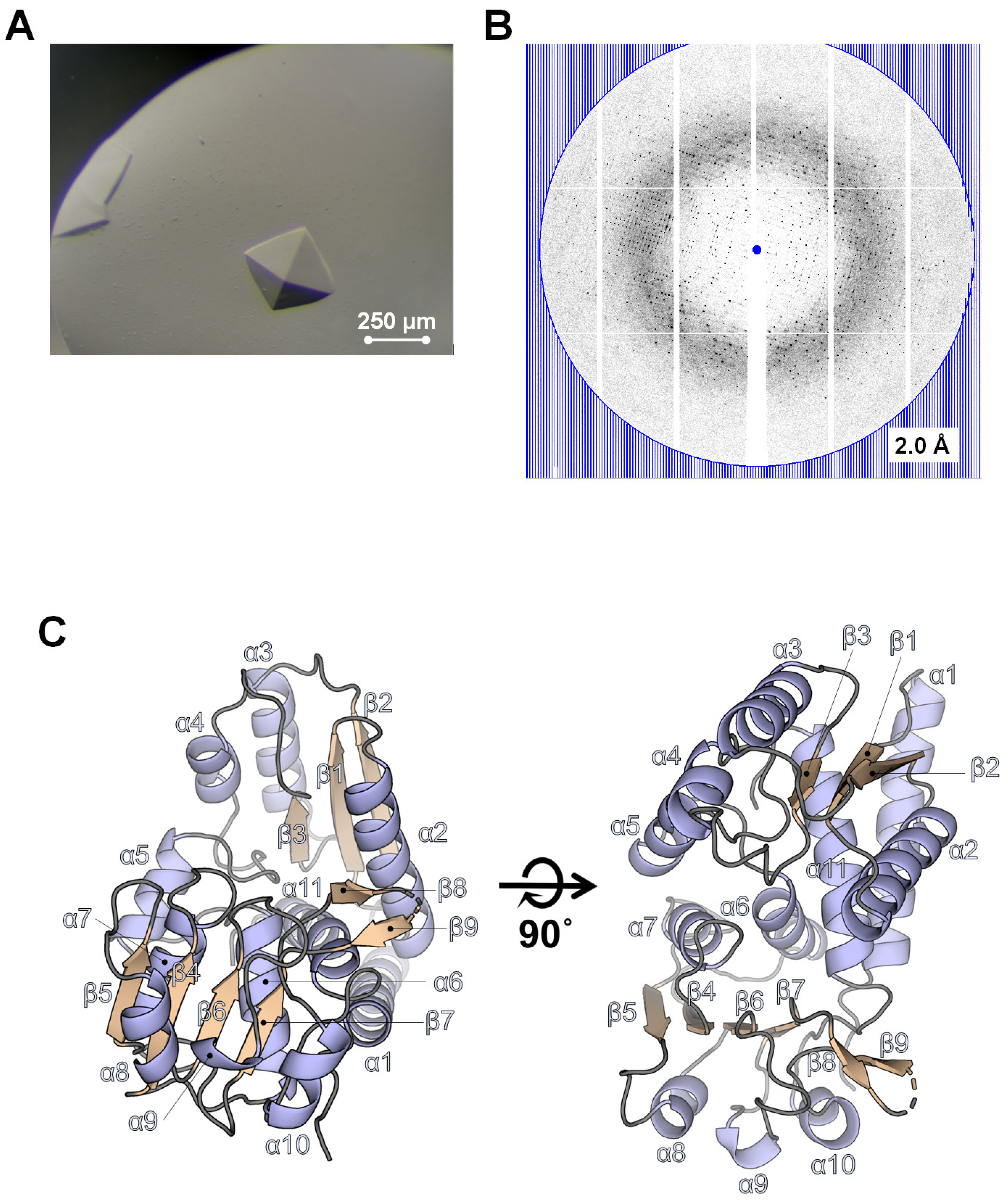 Crystals 13 01489 g001