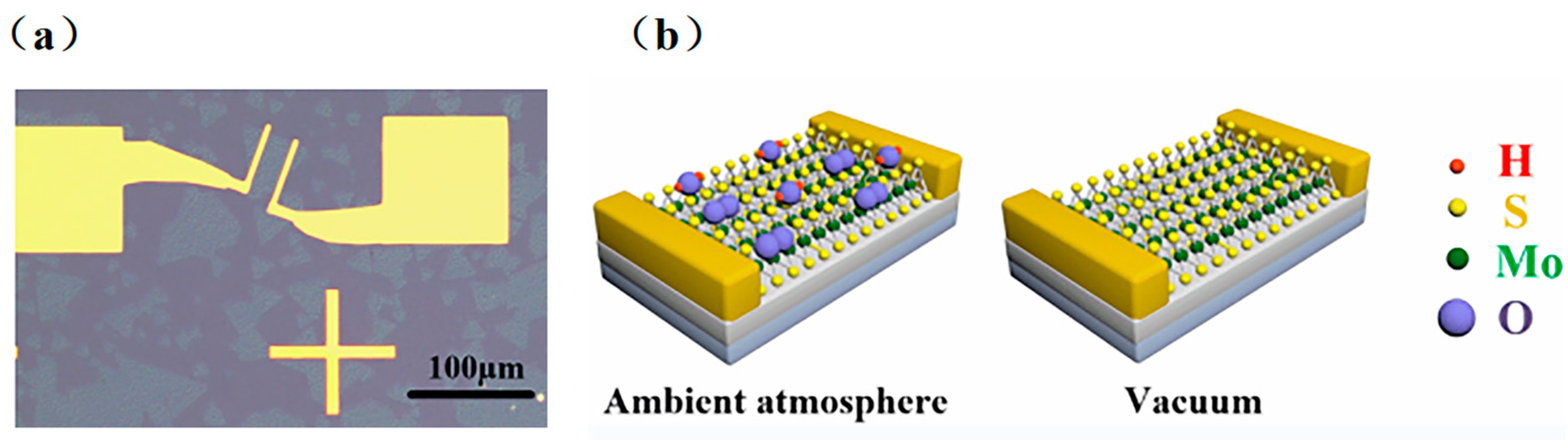 Crystals 13 01501 g001