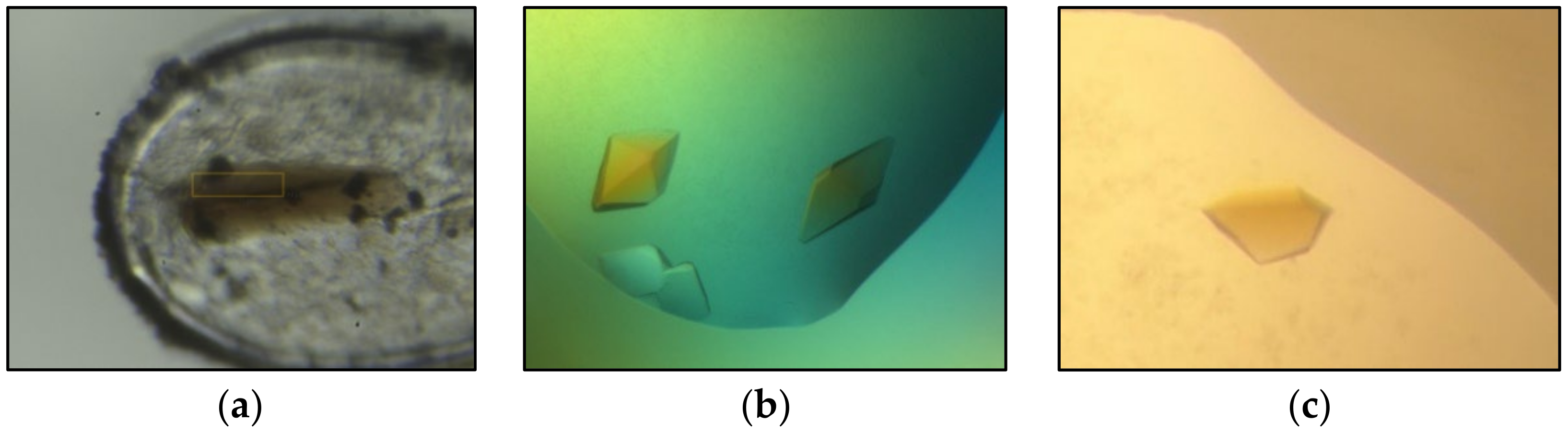 Crystals 13 01519 g002