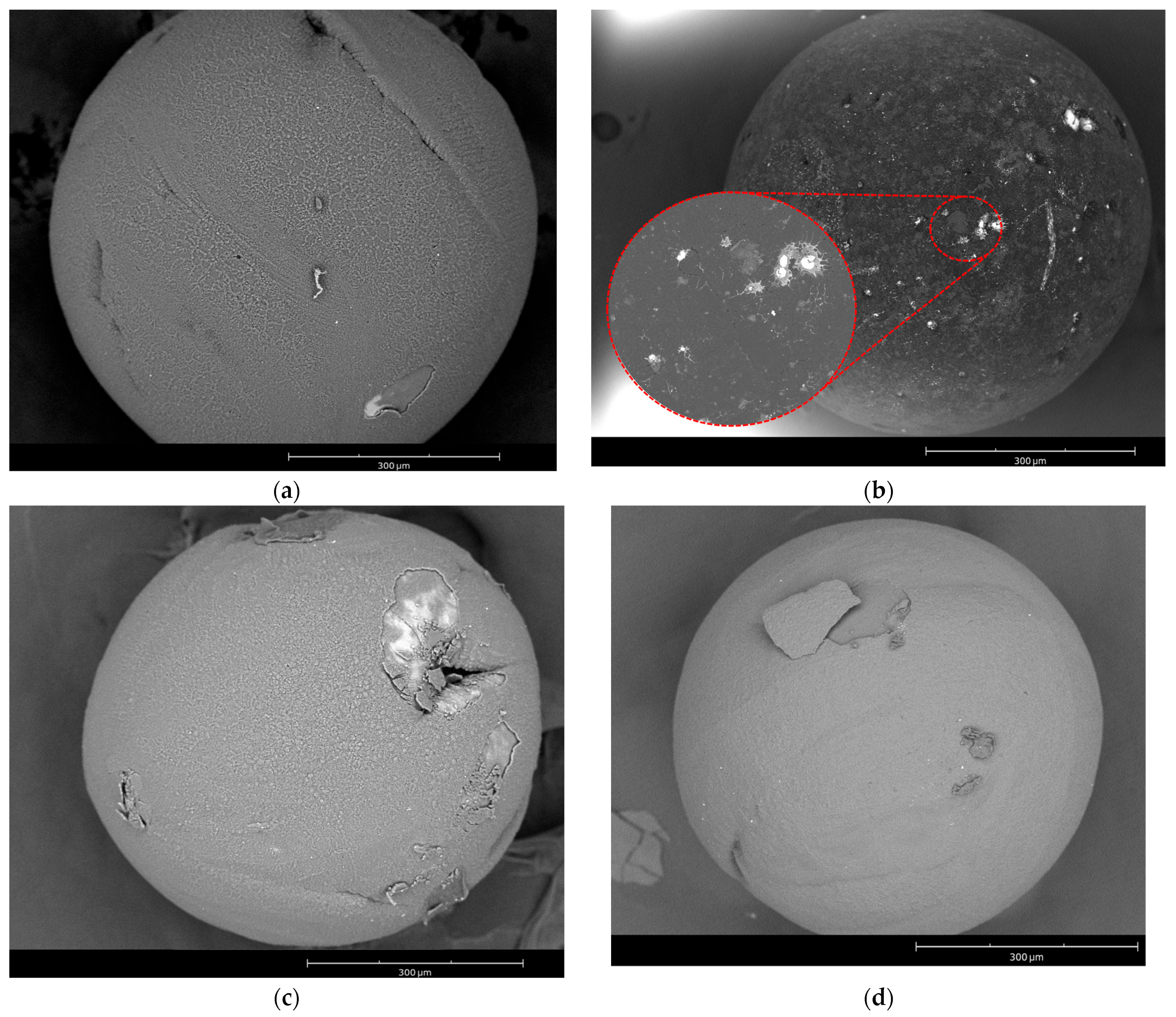 Crystals 13 01526 g008