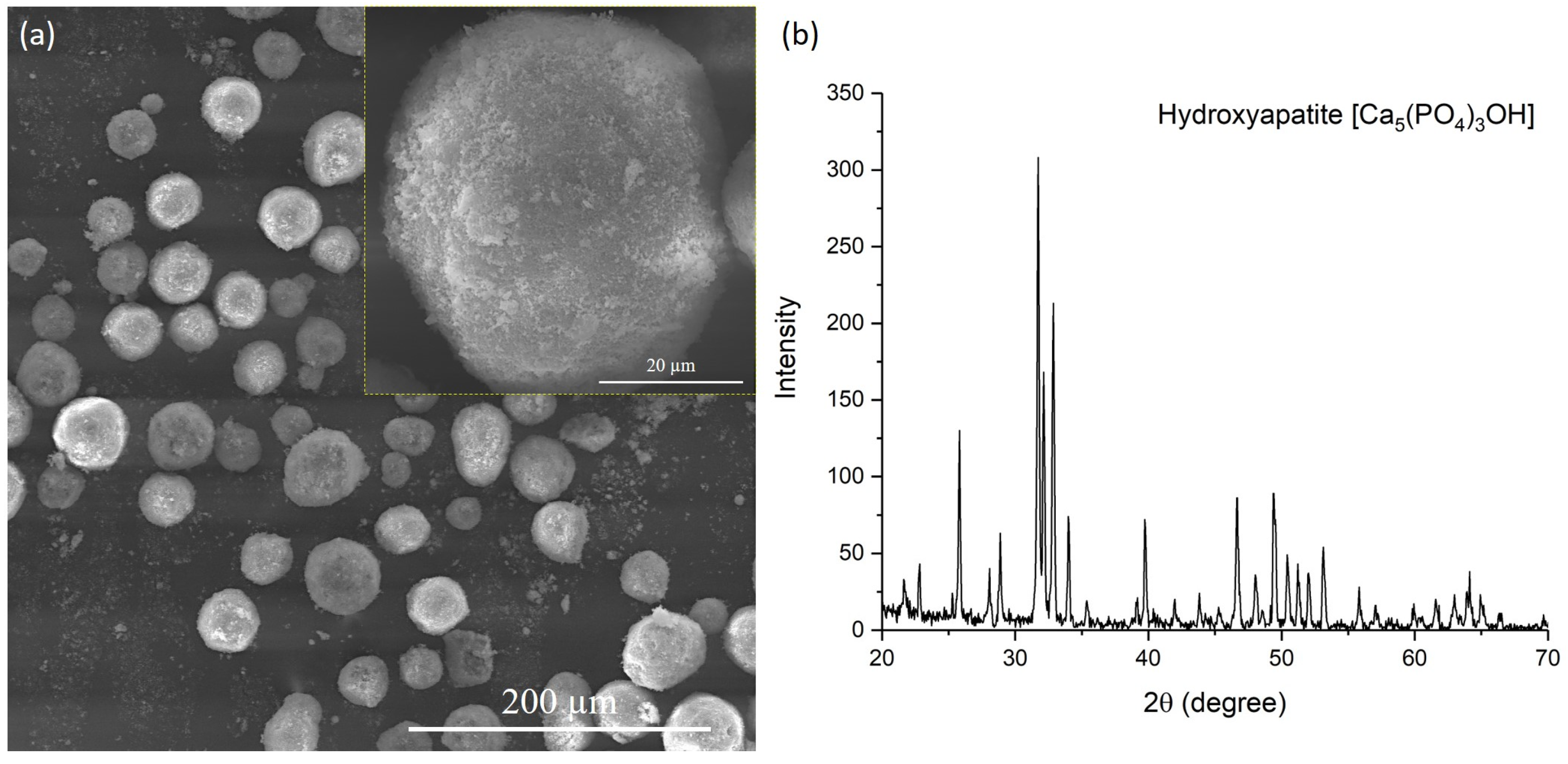 Crystals 13 01564 g001