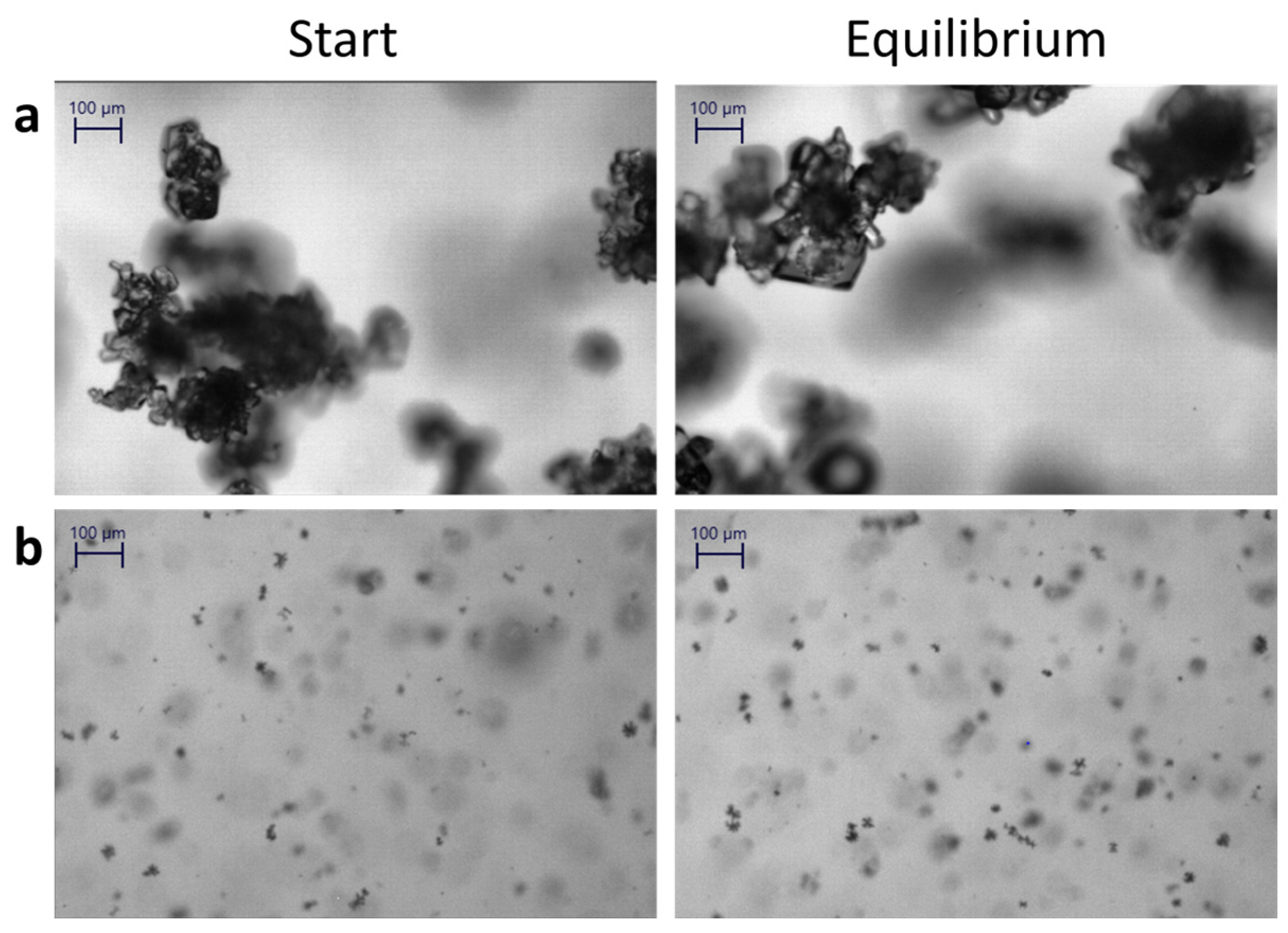 Crystals 13 01569 g005