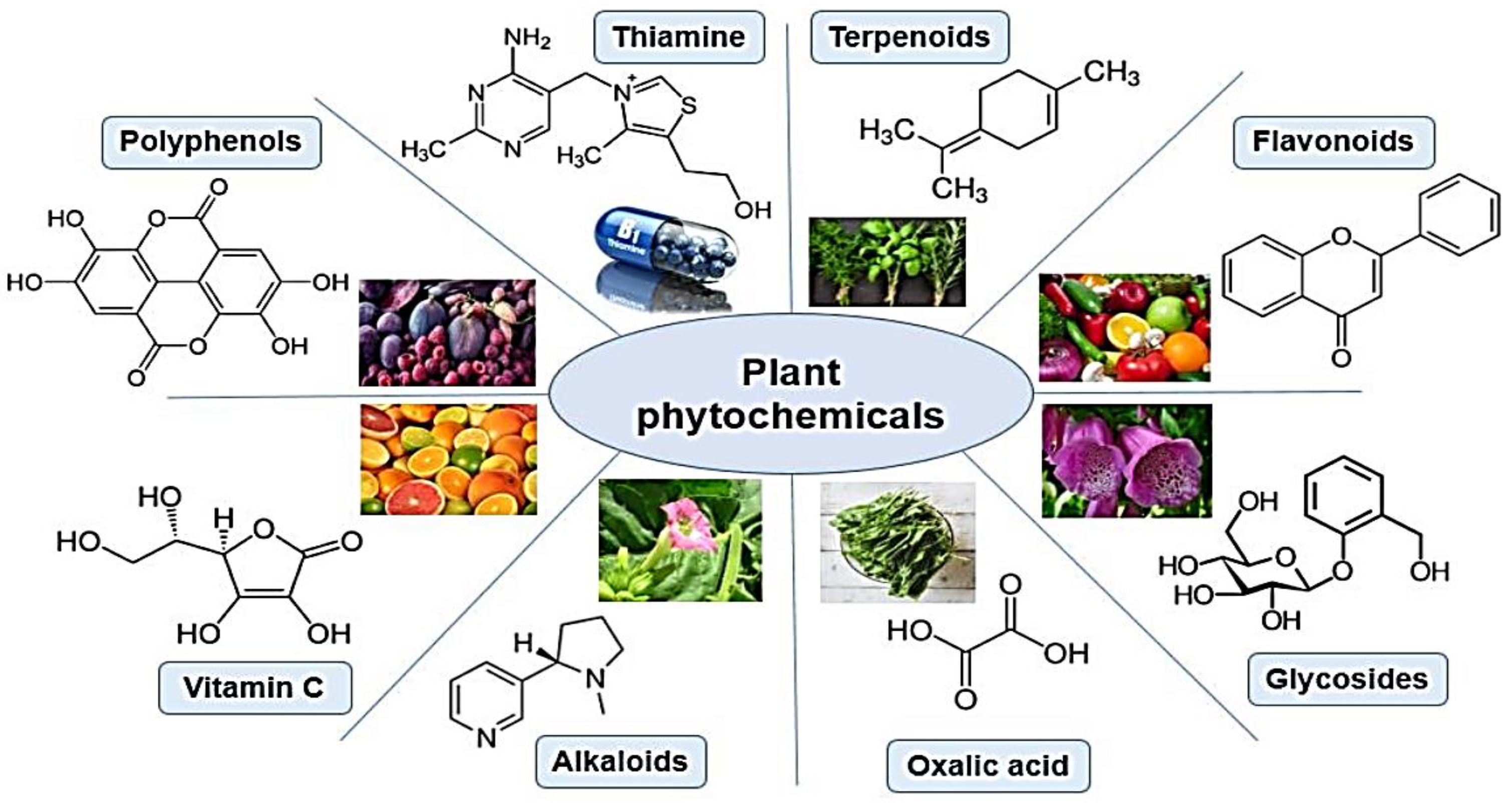 Crystals 13 01576 g006