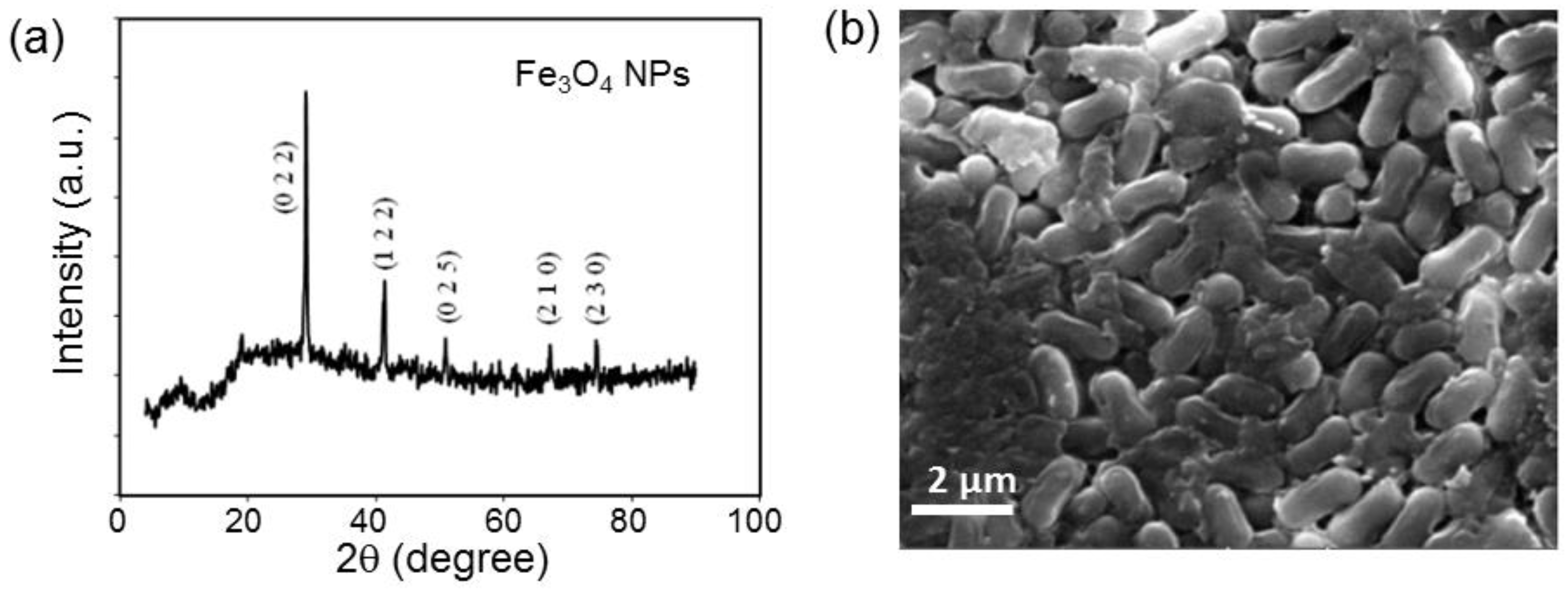 Crystals 13 01576 g020