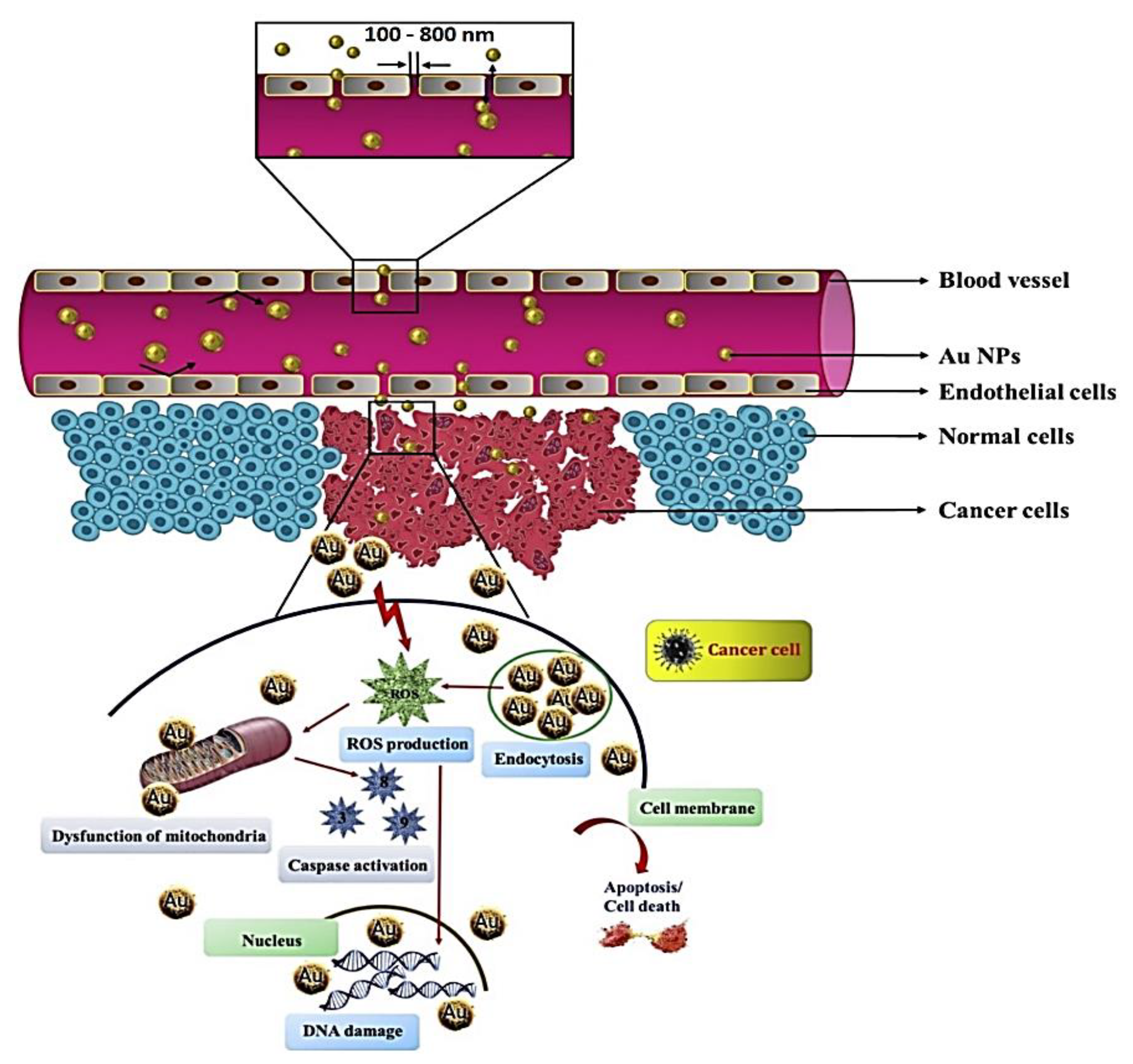 Crystals 13 01576 g025