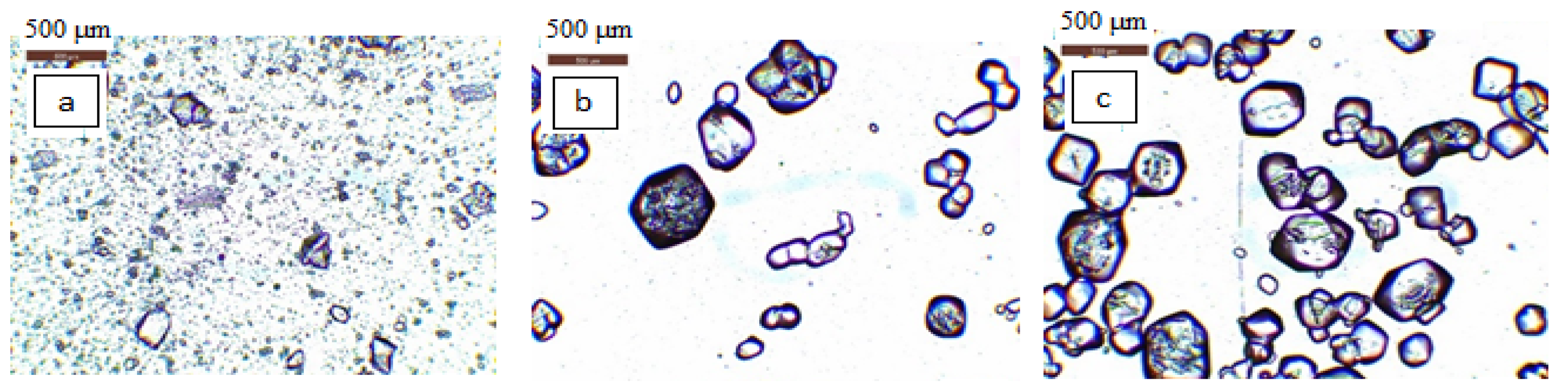 Crystals 13 01584 g005