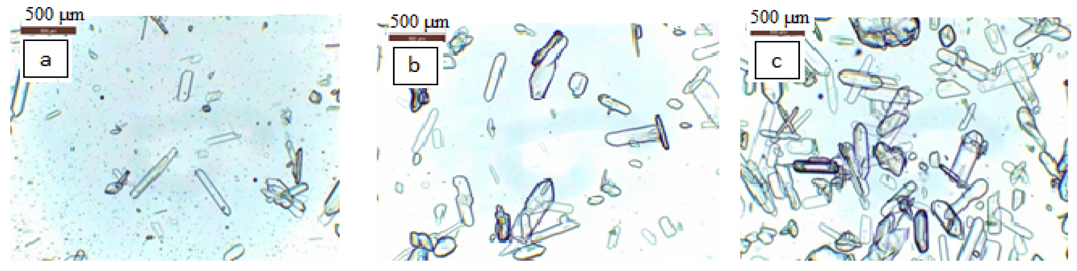 Crystals 13 01584 g007