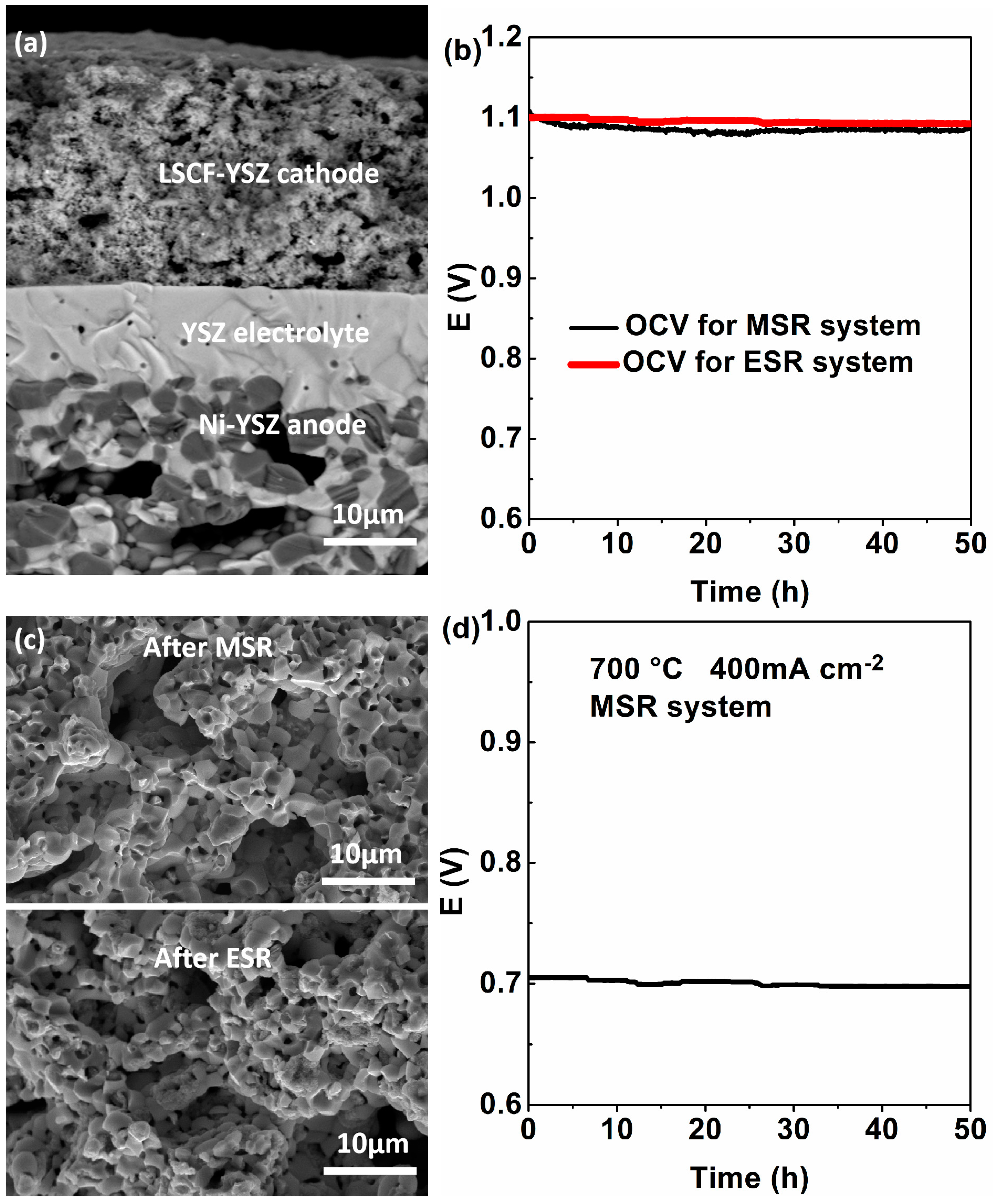 Crystals 13 01594 g006