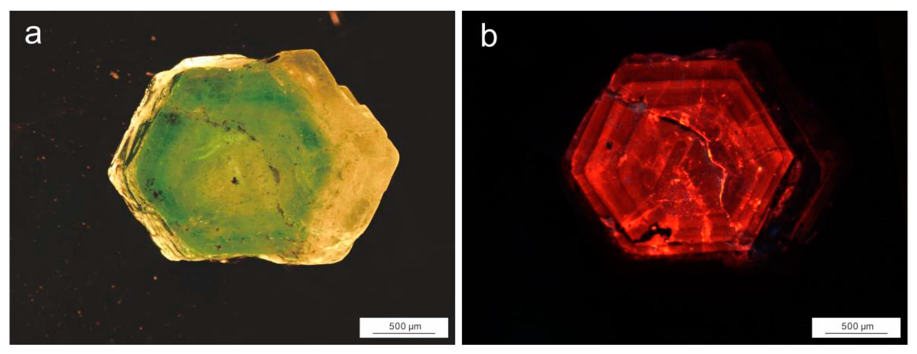 Crystals 13 01605 g005