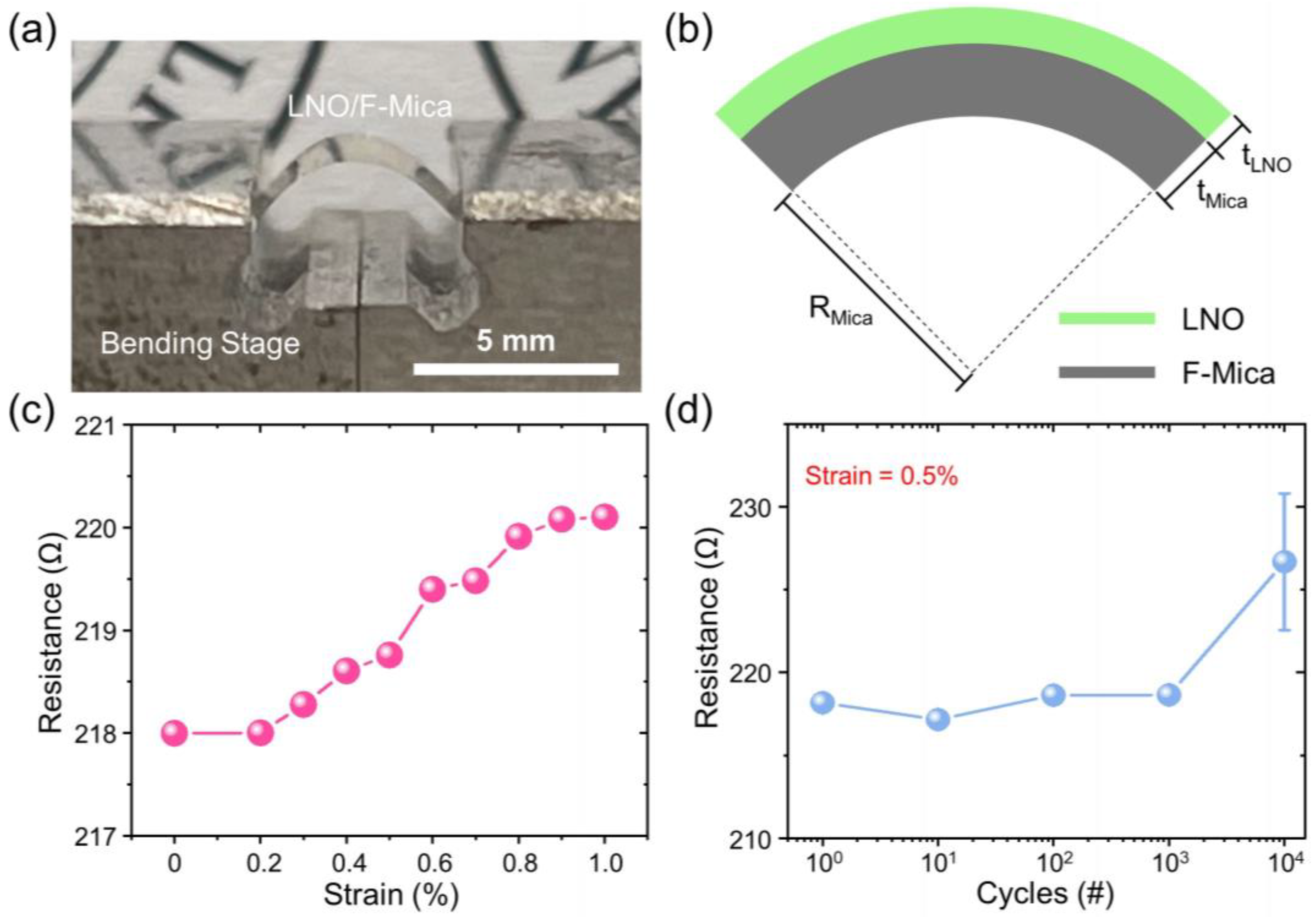 Crystals 13 01613 g002
