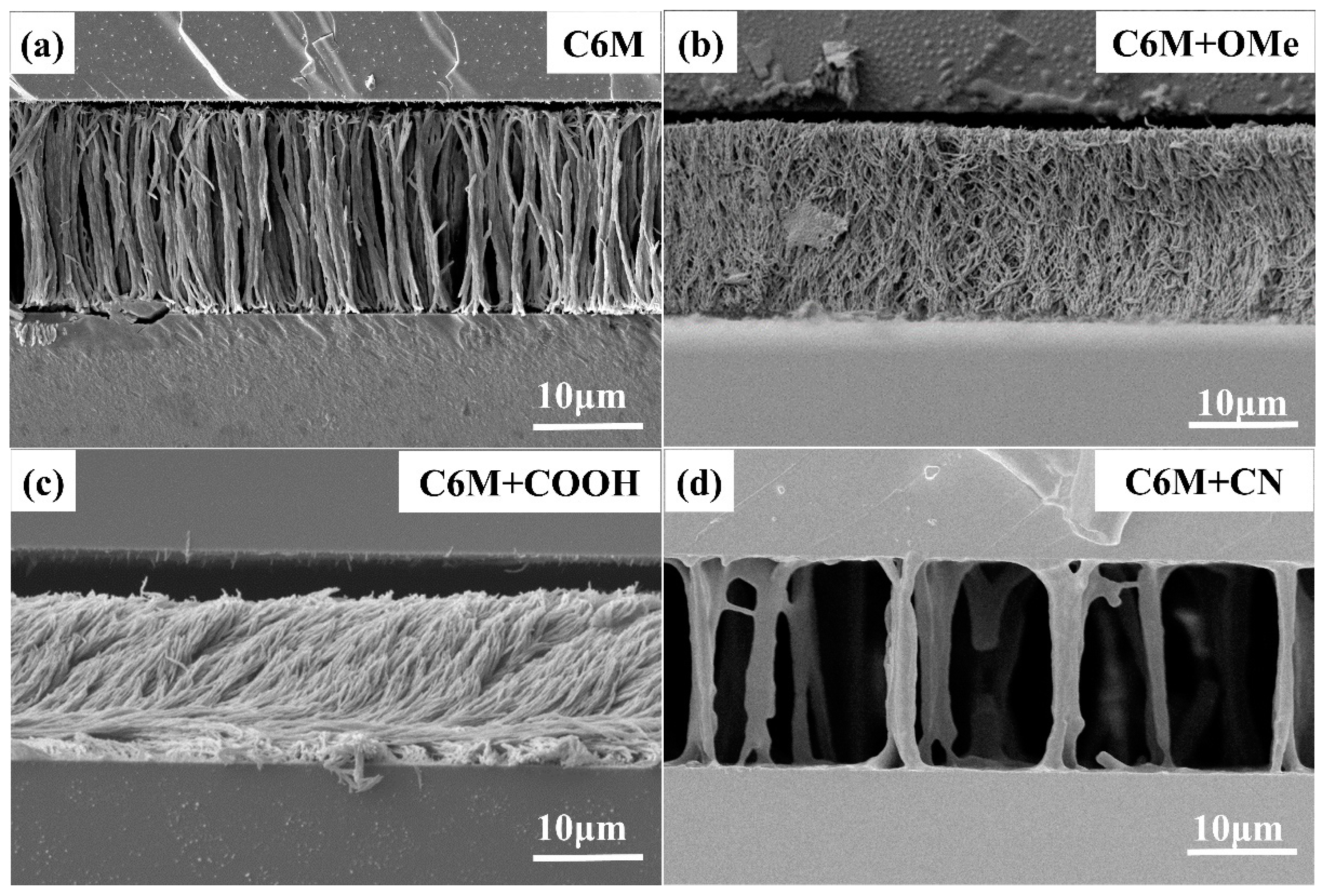 Crystals 13 01616 g002