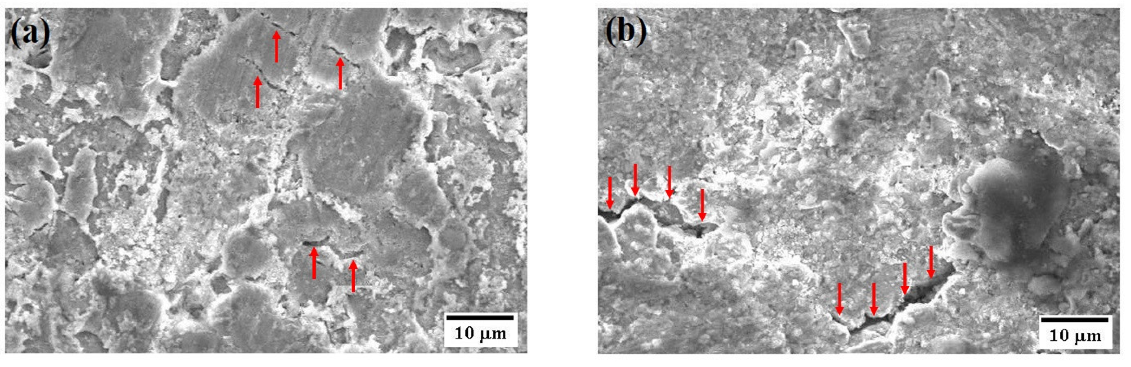 Crystals 13 01635 g010
