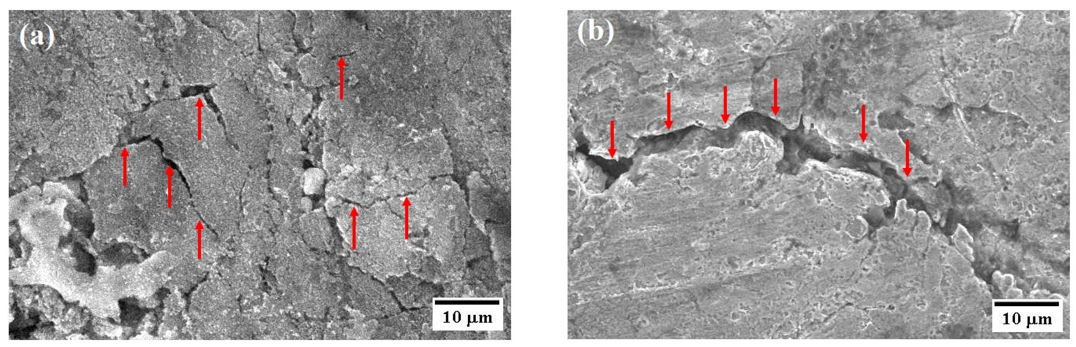 Crystals 13 01635 g013