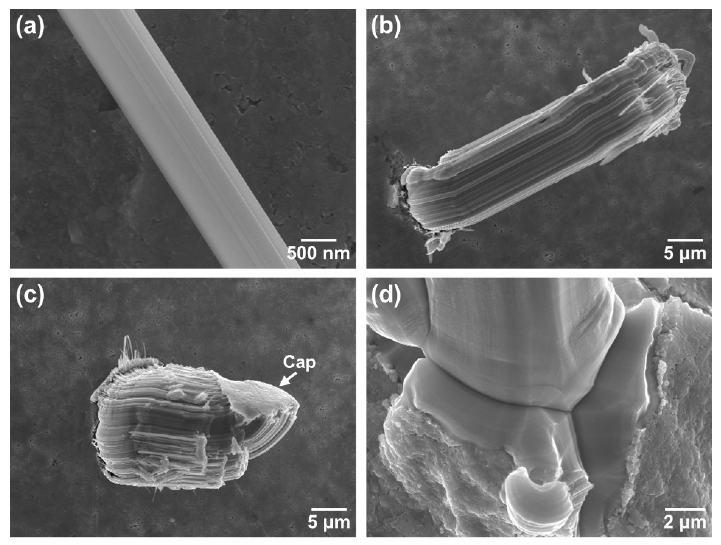 Crystals 13 01643 g002