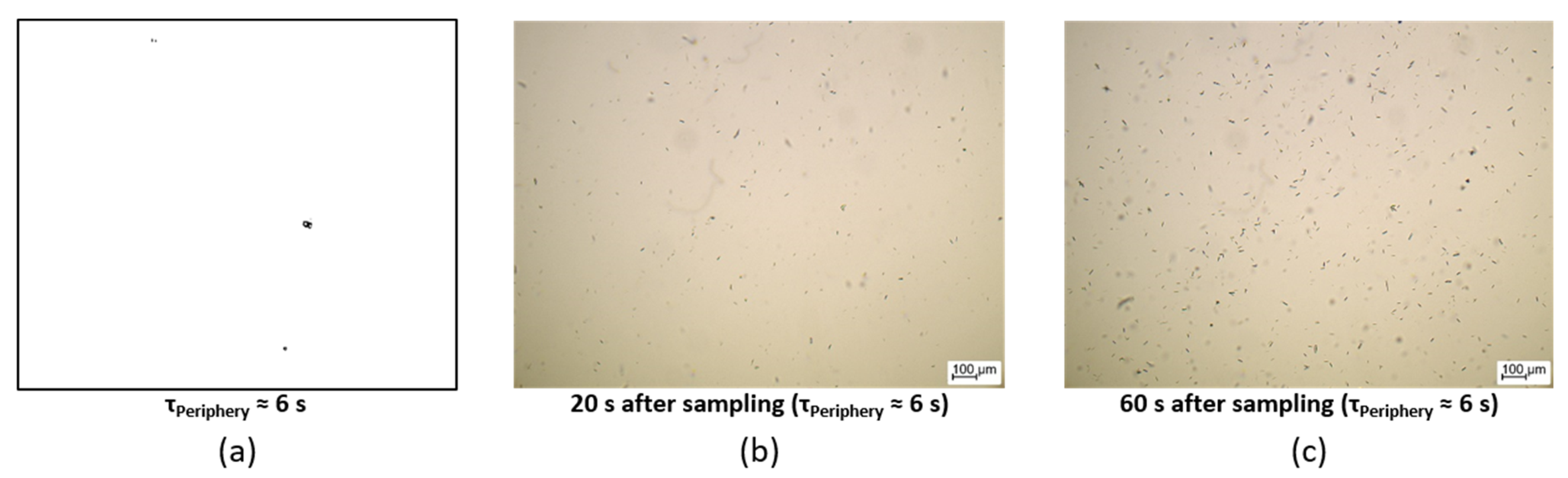 Crystals 13 01675 g004