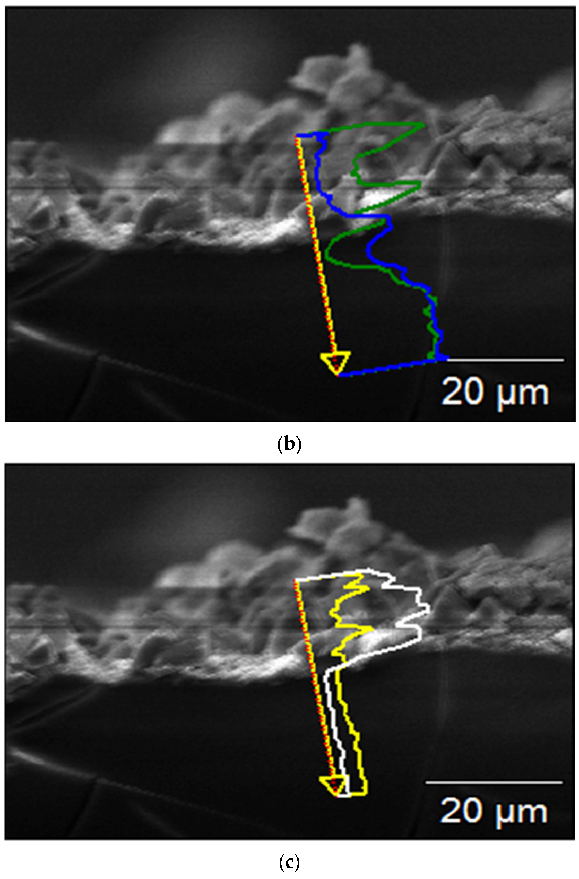 Crystals 13 01692 g007b