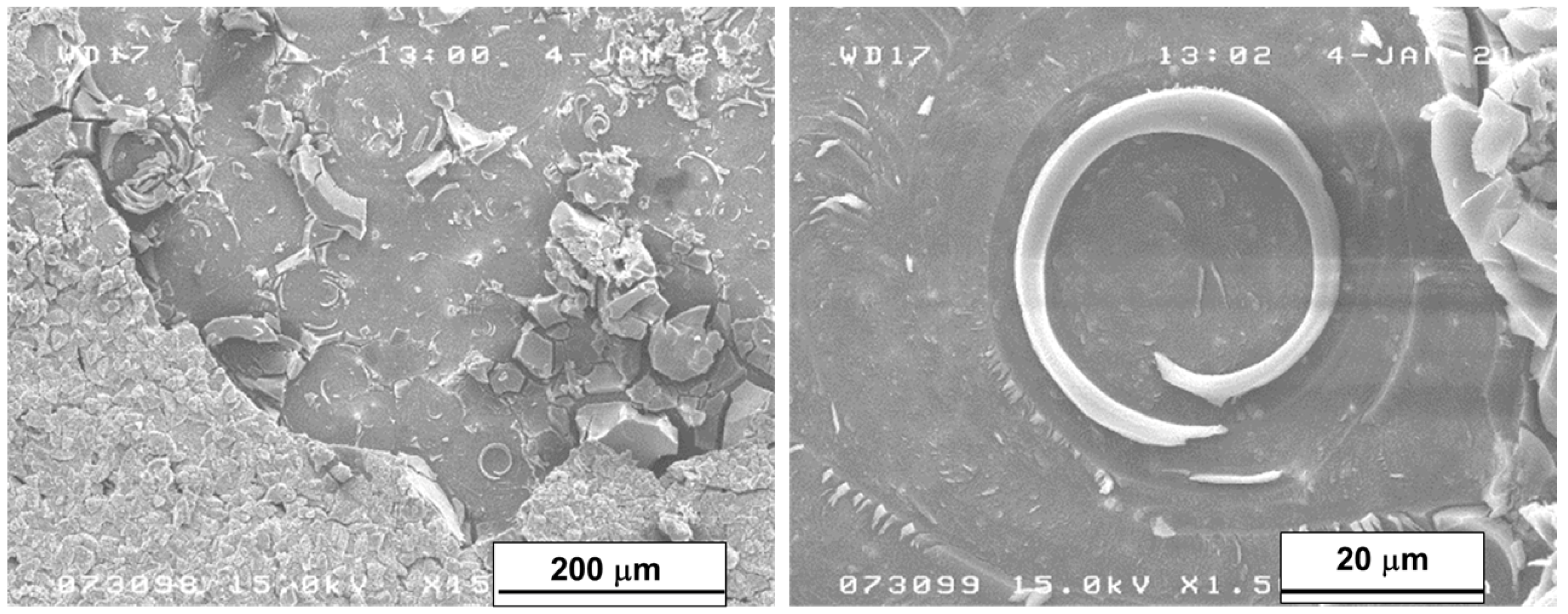 Crystals 13 01692 g011