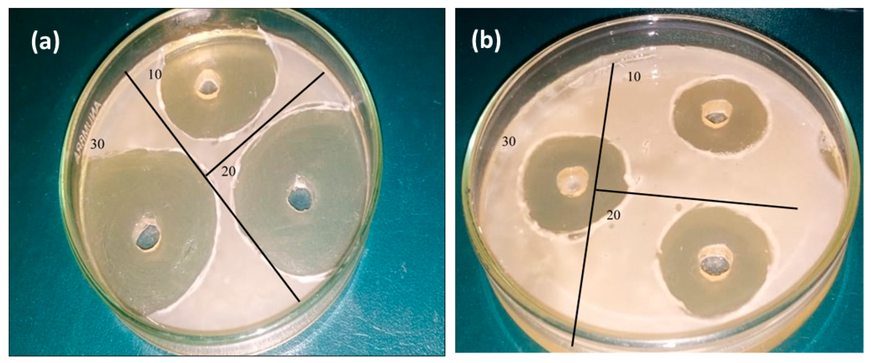Crystals 13 01699 g013