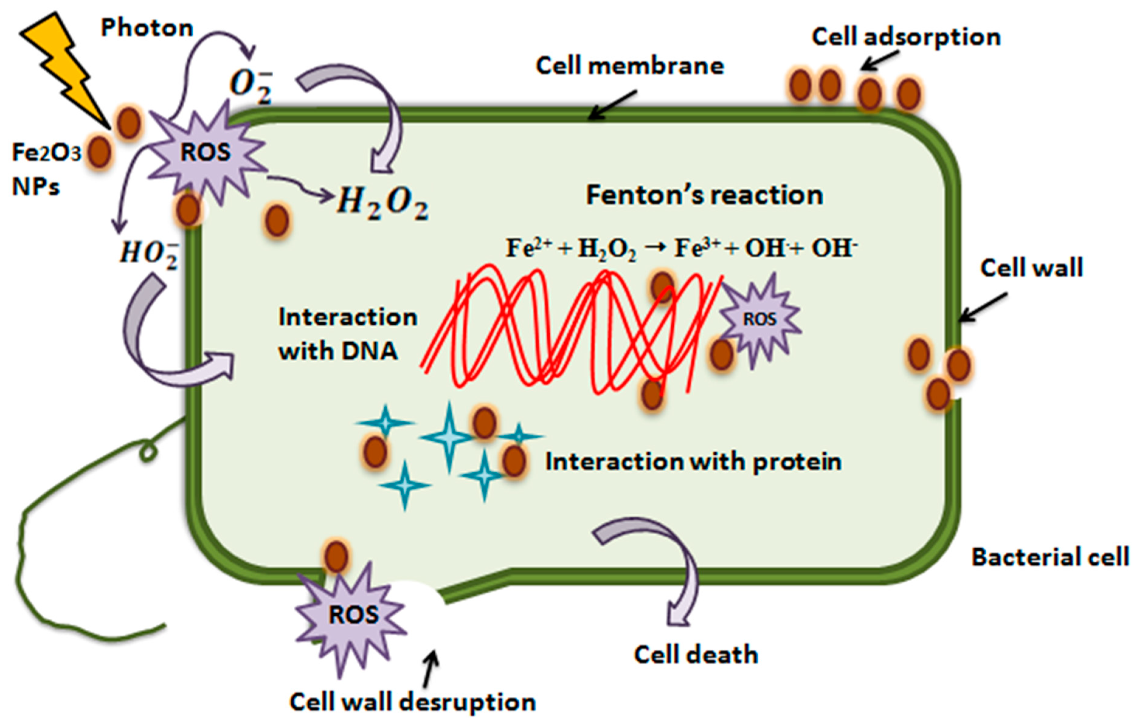 Crystals 13 01699 g014