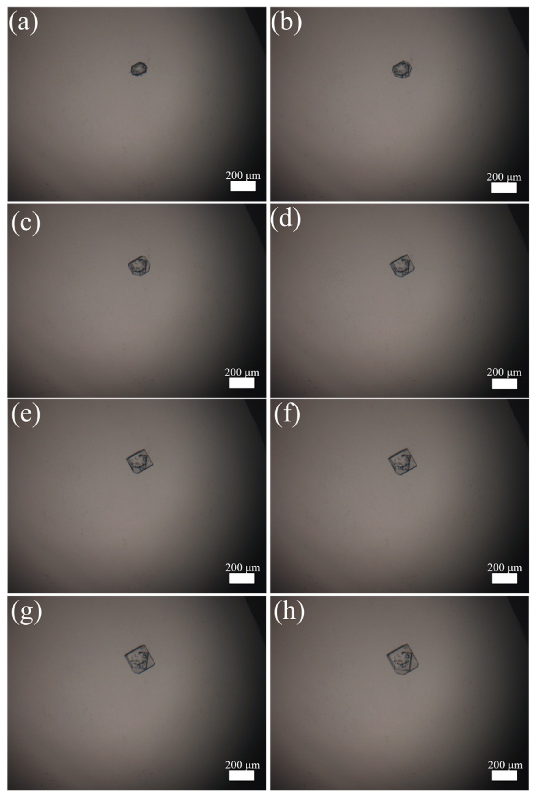 Crystals 14 00004 g004