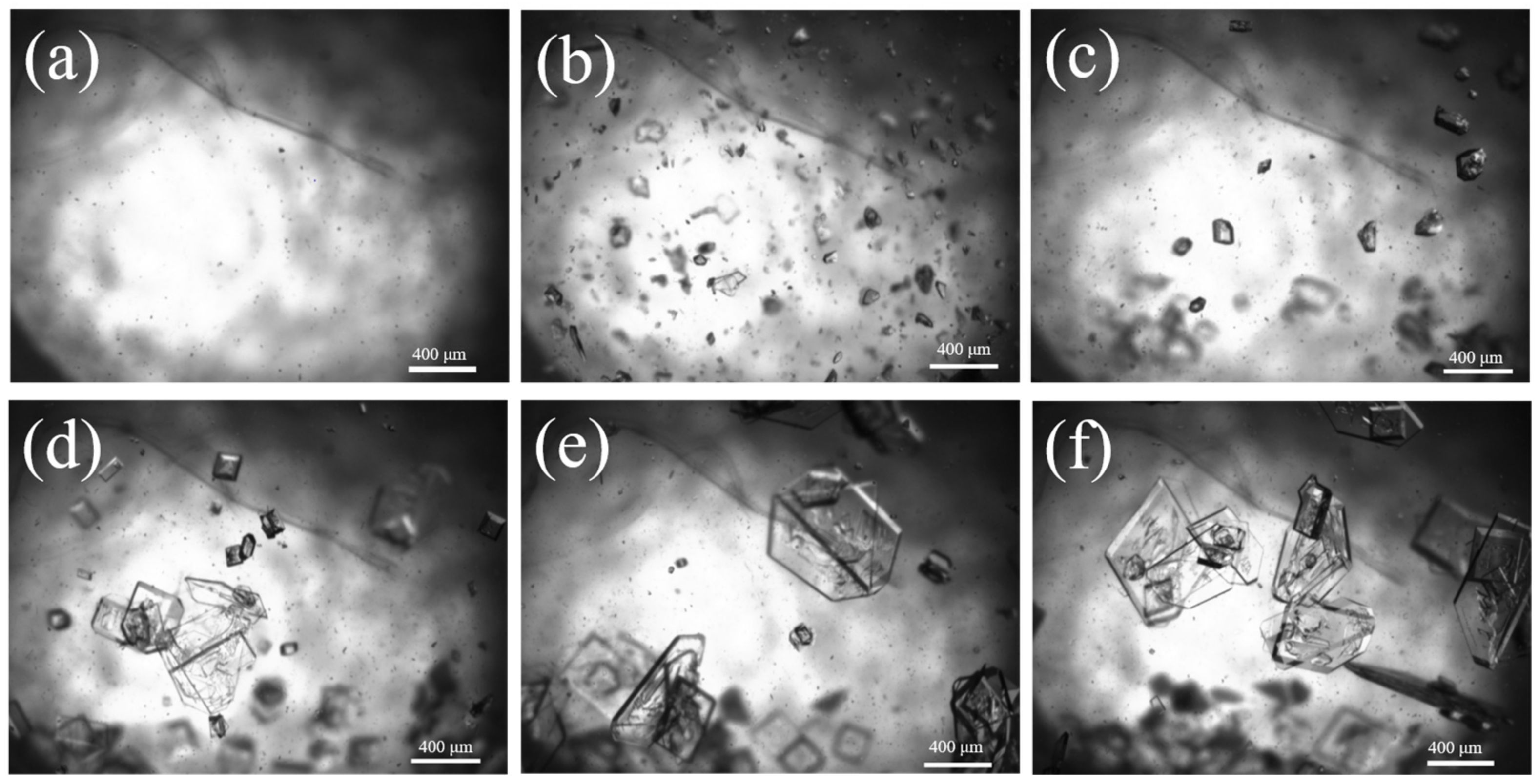 Crystals 14 00004 g011