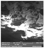 Crystals 14 00007 i002