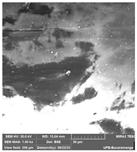 Crystals 14 00007 i003