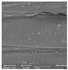 Crystals 14 00007 i010