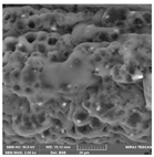 Crystals 14 00007 i011