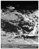 Crystals 14 00007 i012