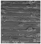 Crystals 14 00007 i015