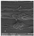 Crystals 14 00007 i016