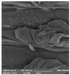 Crystals 14 00007 i017