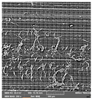 Crystals 14 00007 i031