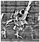 Crystals 14 00007 i033