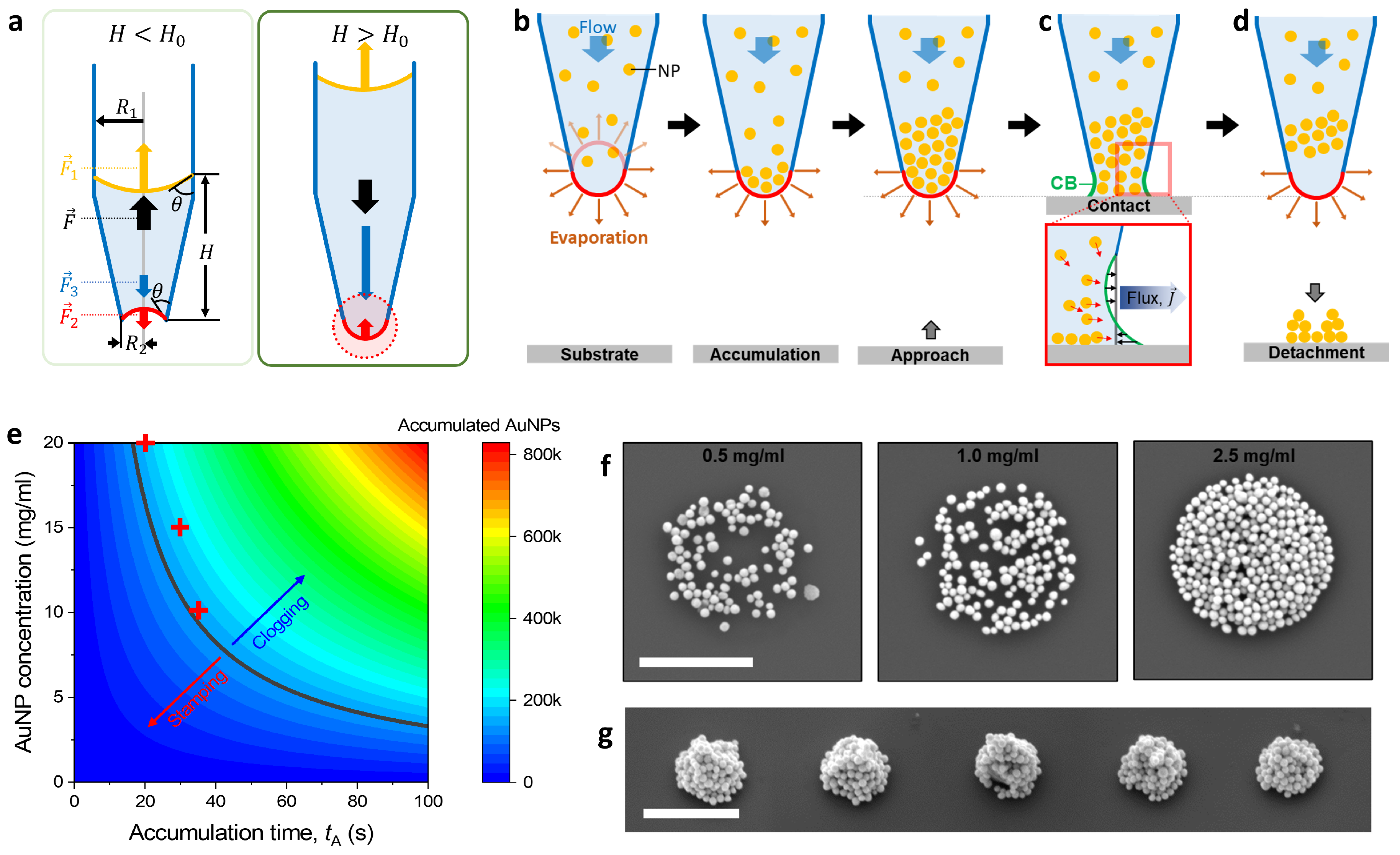 Crystals 14 00009 g004