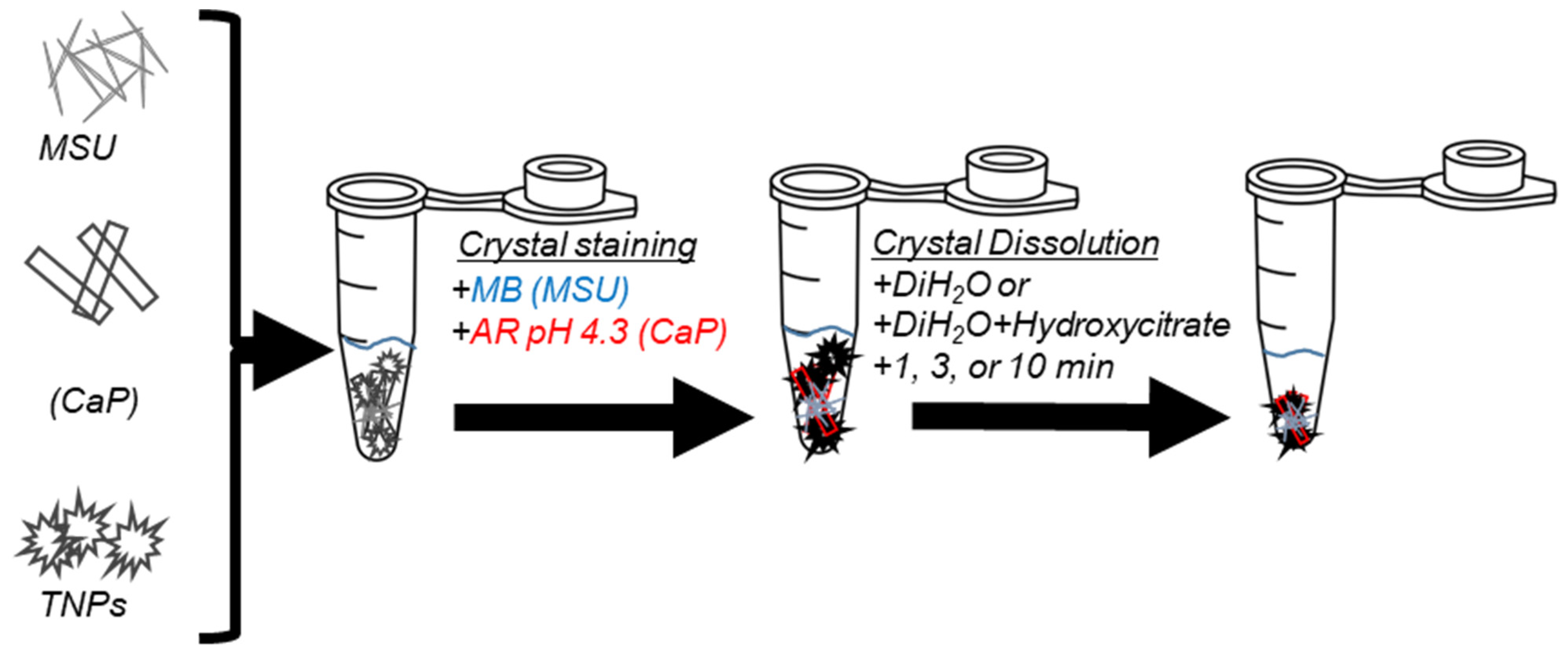 Crystals 14 00011 g001