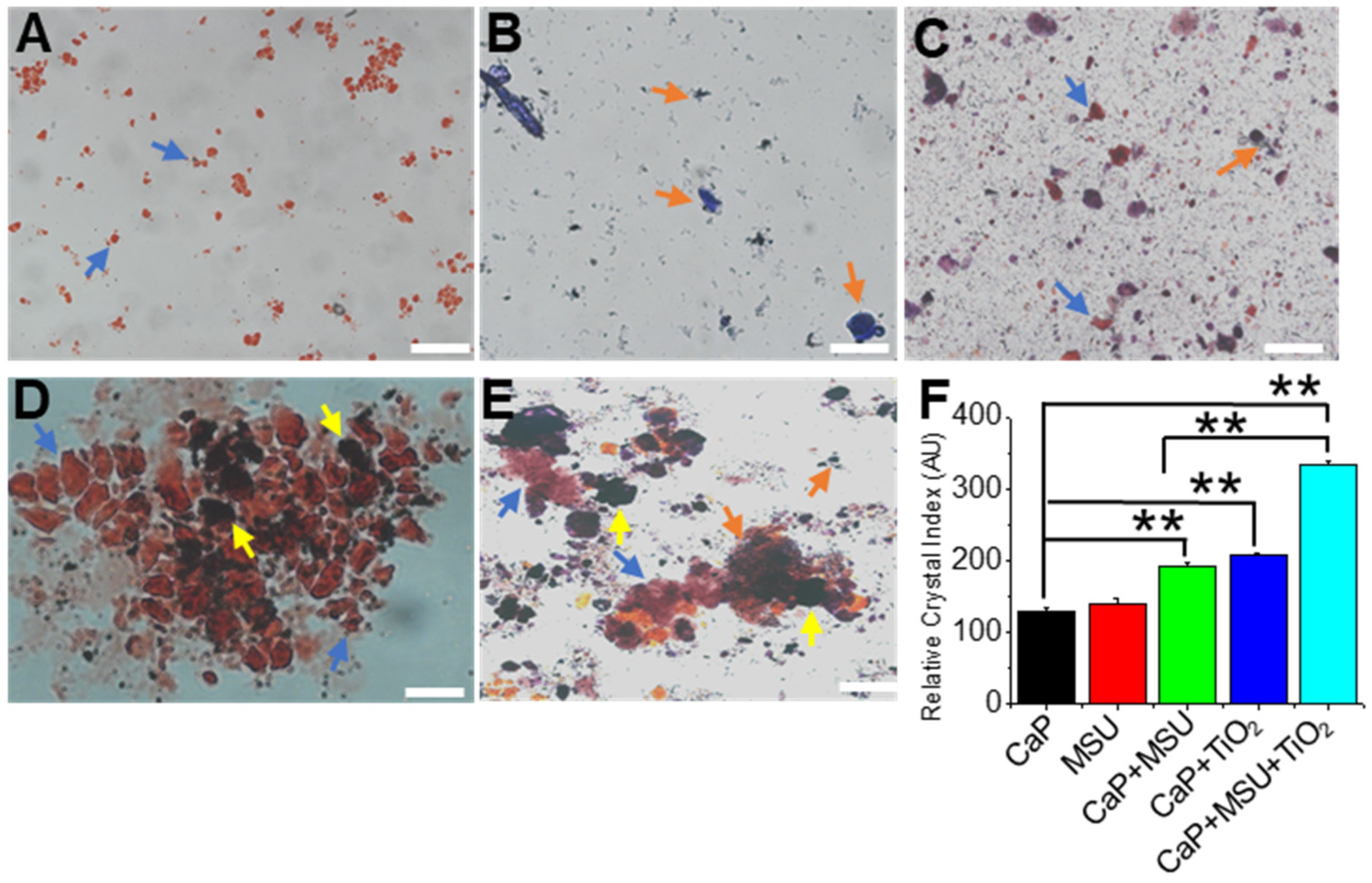 Crystals 14 00011 g002