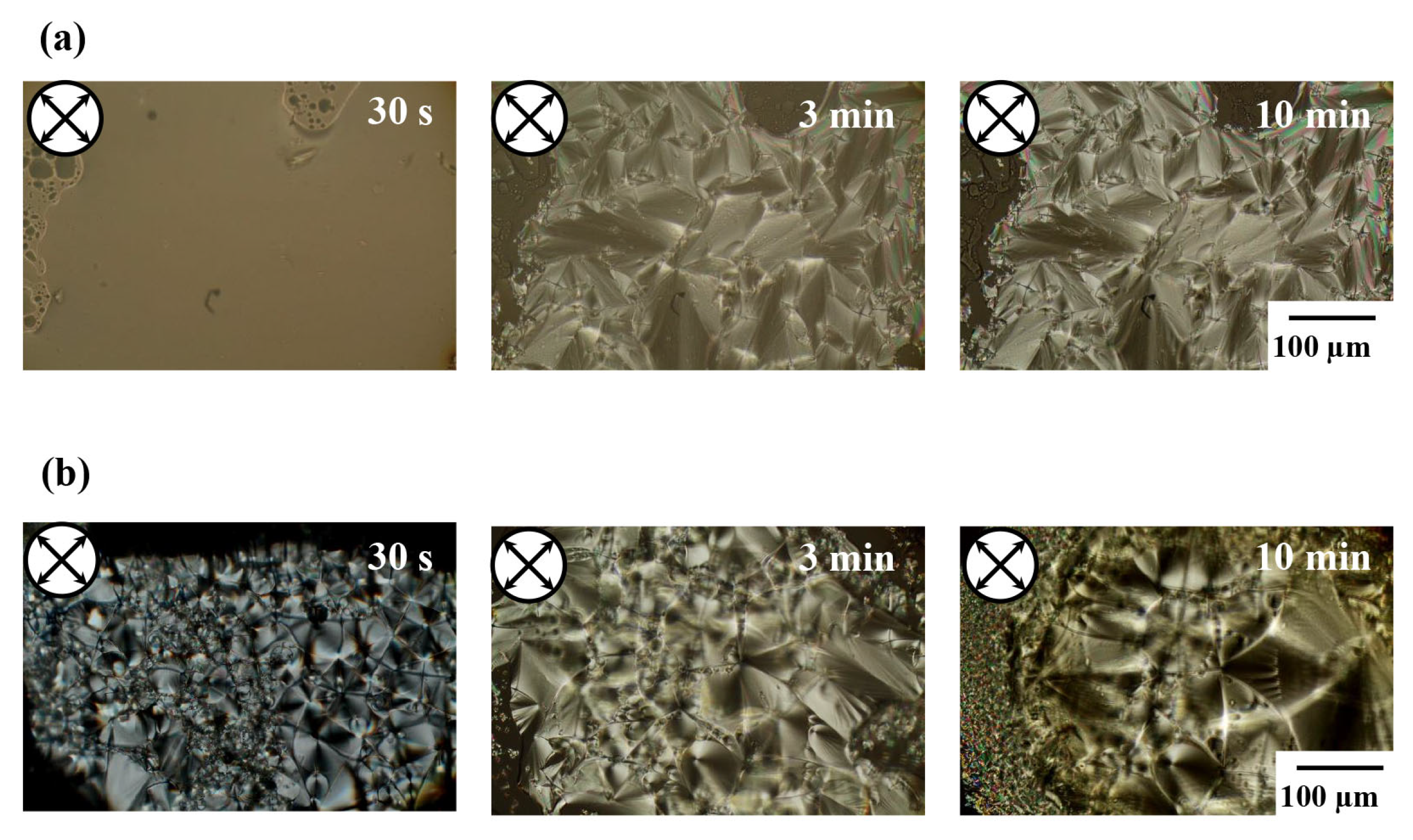 Crystals 14 00047 g003