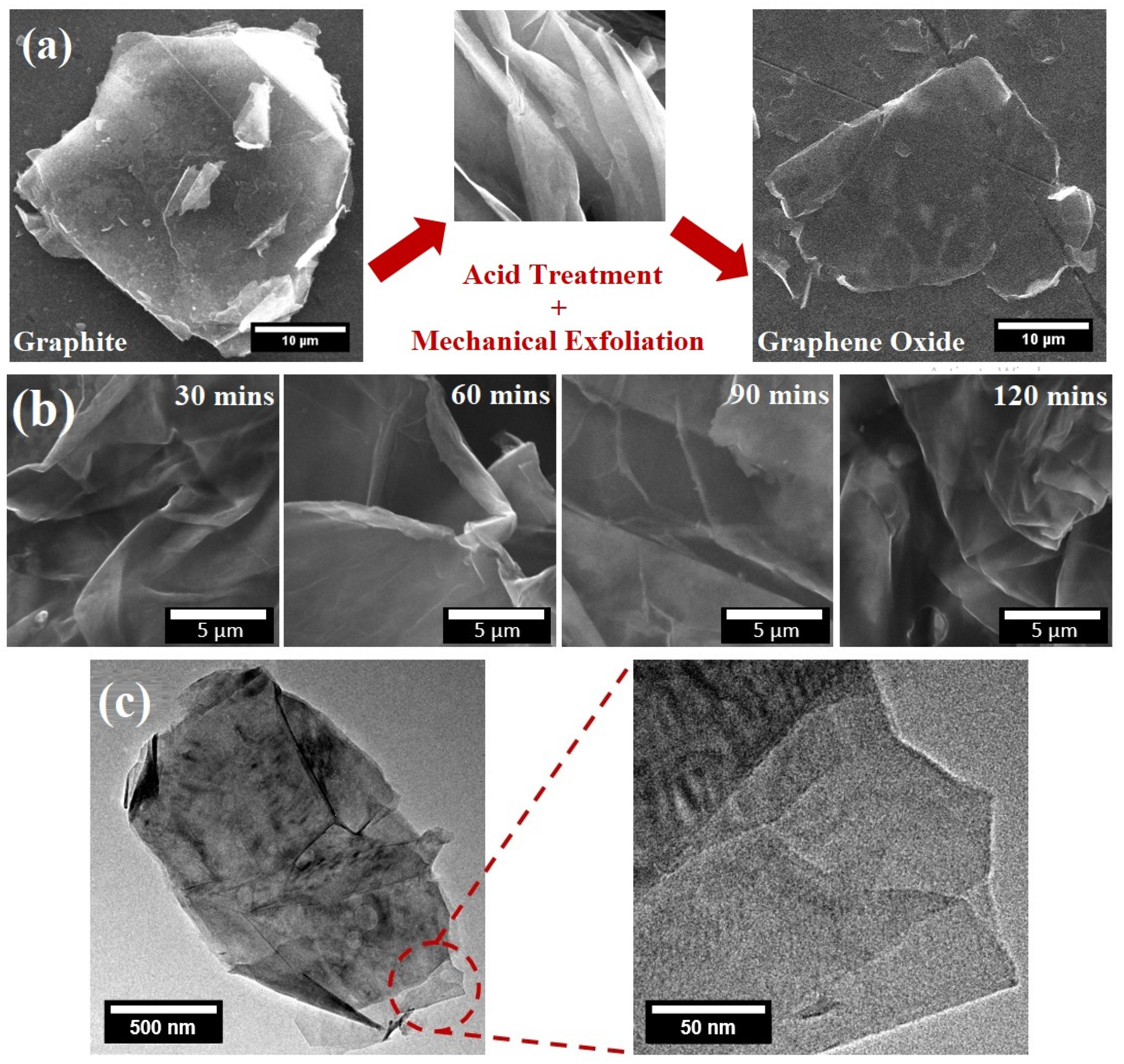 Crystals 14 00049 g001